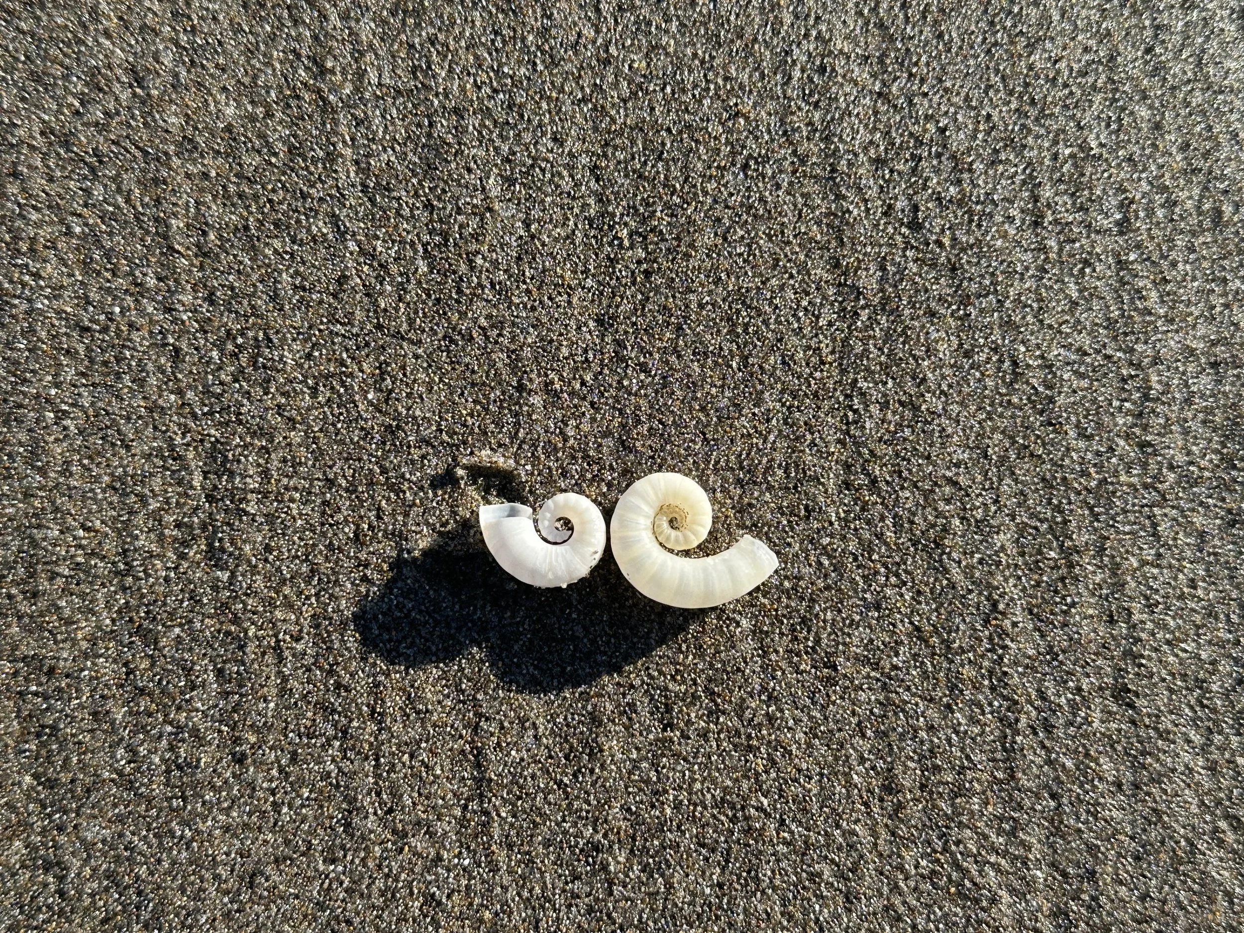 Understanding Controlled Substances