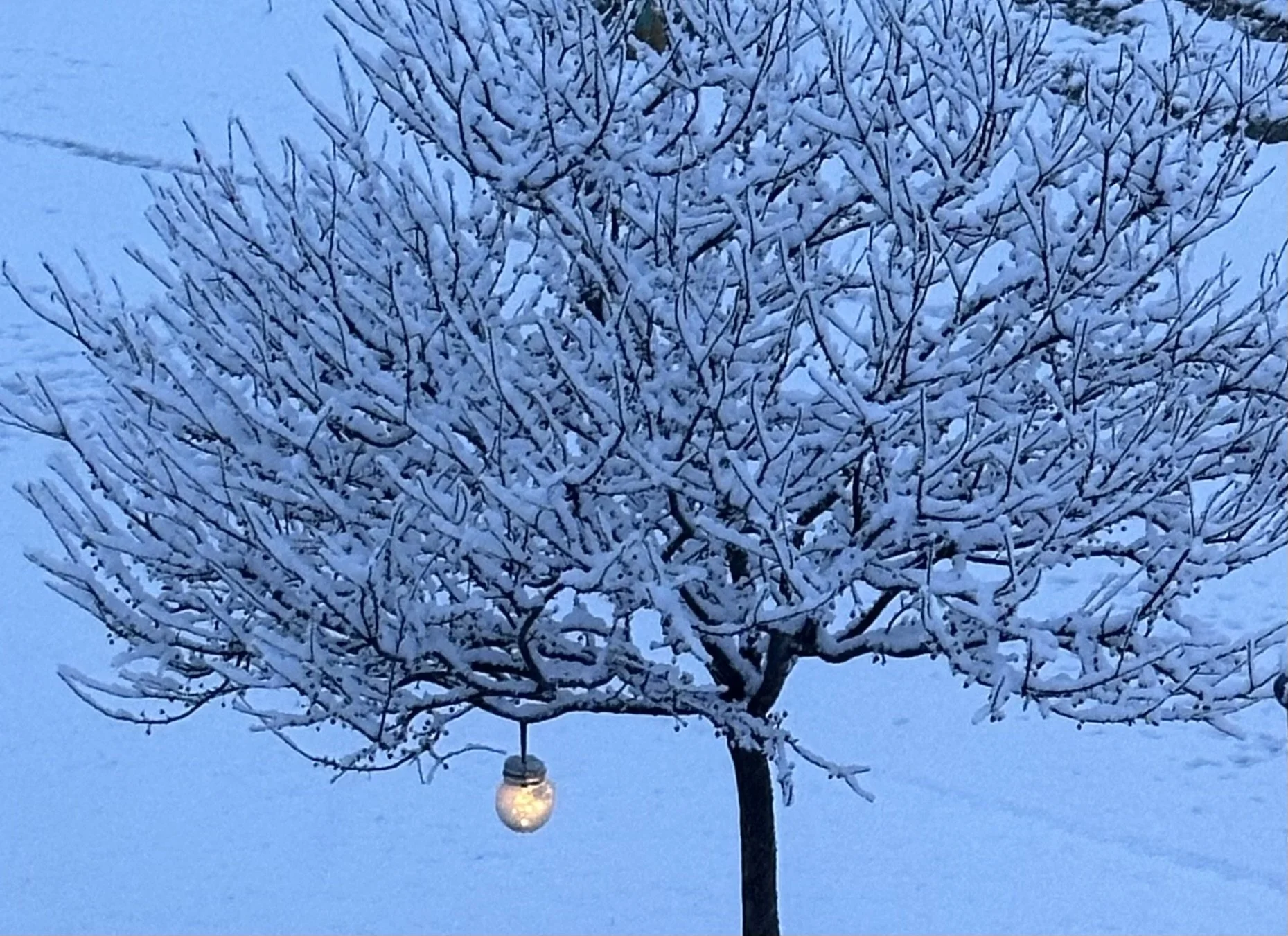 Preparing for Your Psychiatric Appointment