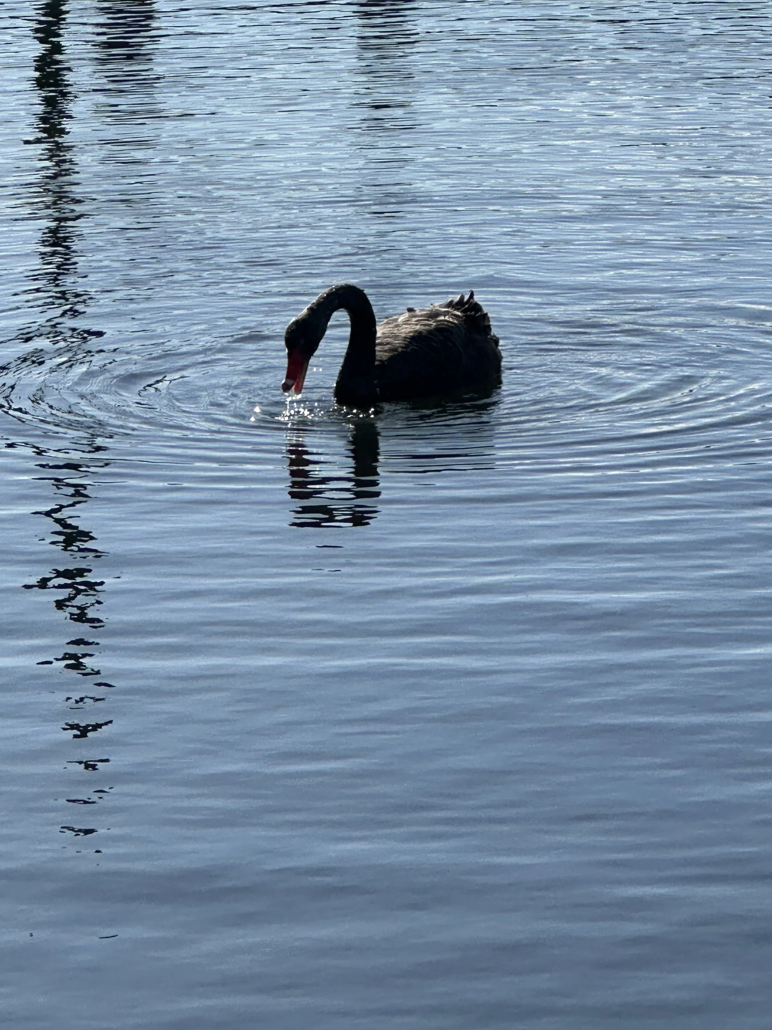 ADHD in Women: A Different Story