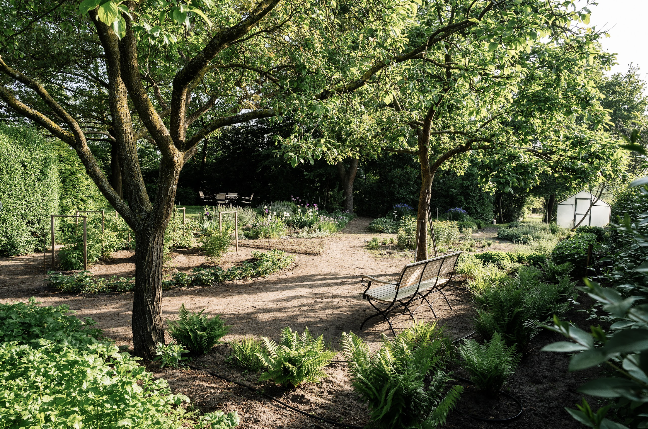 Garten mit Bänken, Bäumen und blühenden Pflanzen bei Tageslicht.