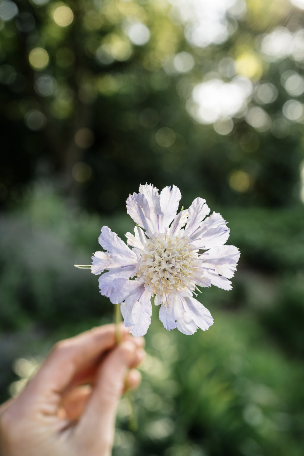 Bildschirmfoto 2026-03-02 um 22.24.33.png