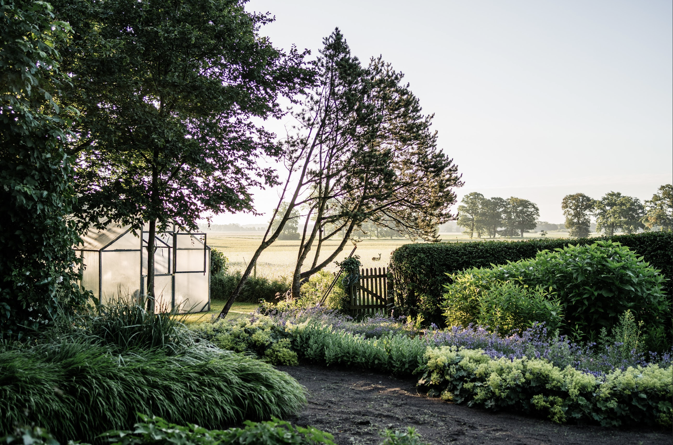 Garten mit bunten Blumen, Büschen, Bäumen, einem Gartenhaus und einem Zaun, mit Blick auf eine offene Wiese im Hintergrund.