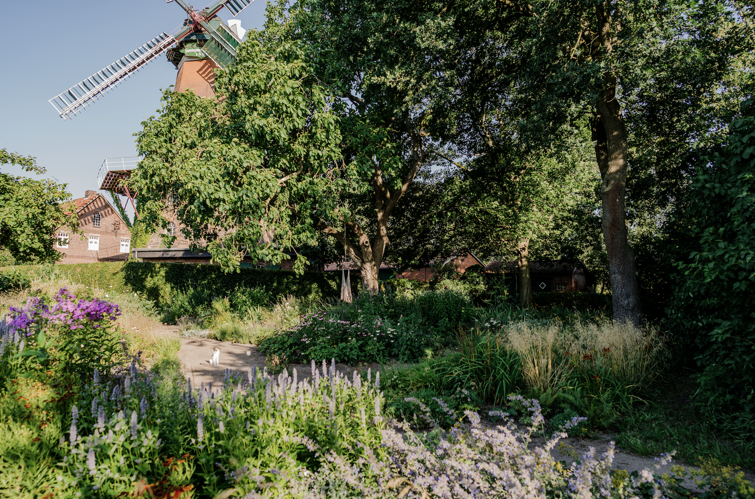 Garten mit Blumen, Bäumen und Windmühle im Hintergrund, bei Sonnenlicht, mit einer Katze im Vordergrund.