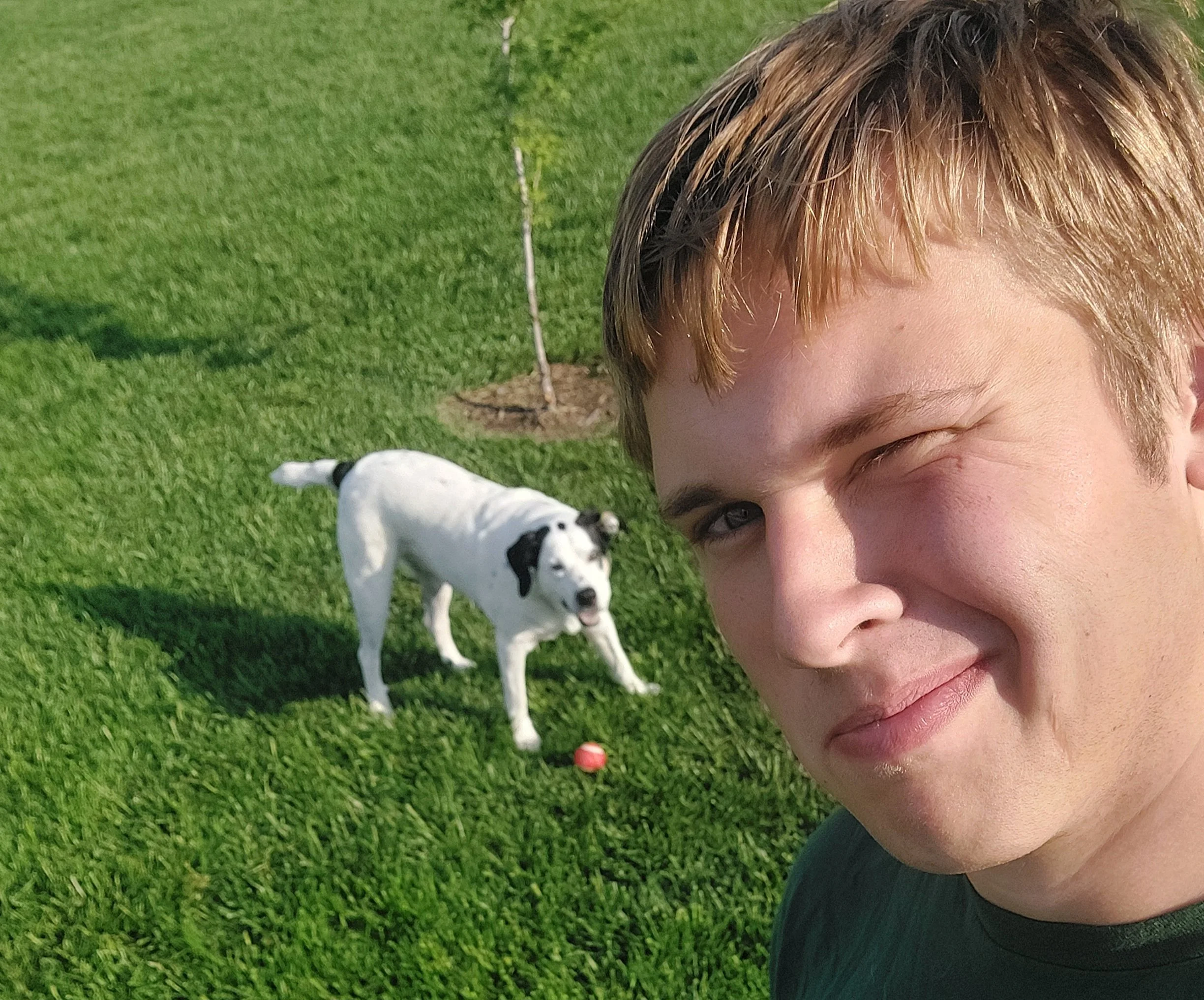 A young man taking a selfie outdoors on a sunny day with a black and white dog in the background, standing on green grass near a young tree.