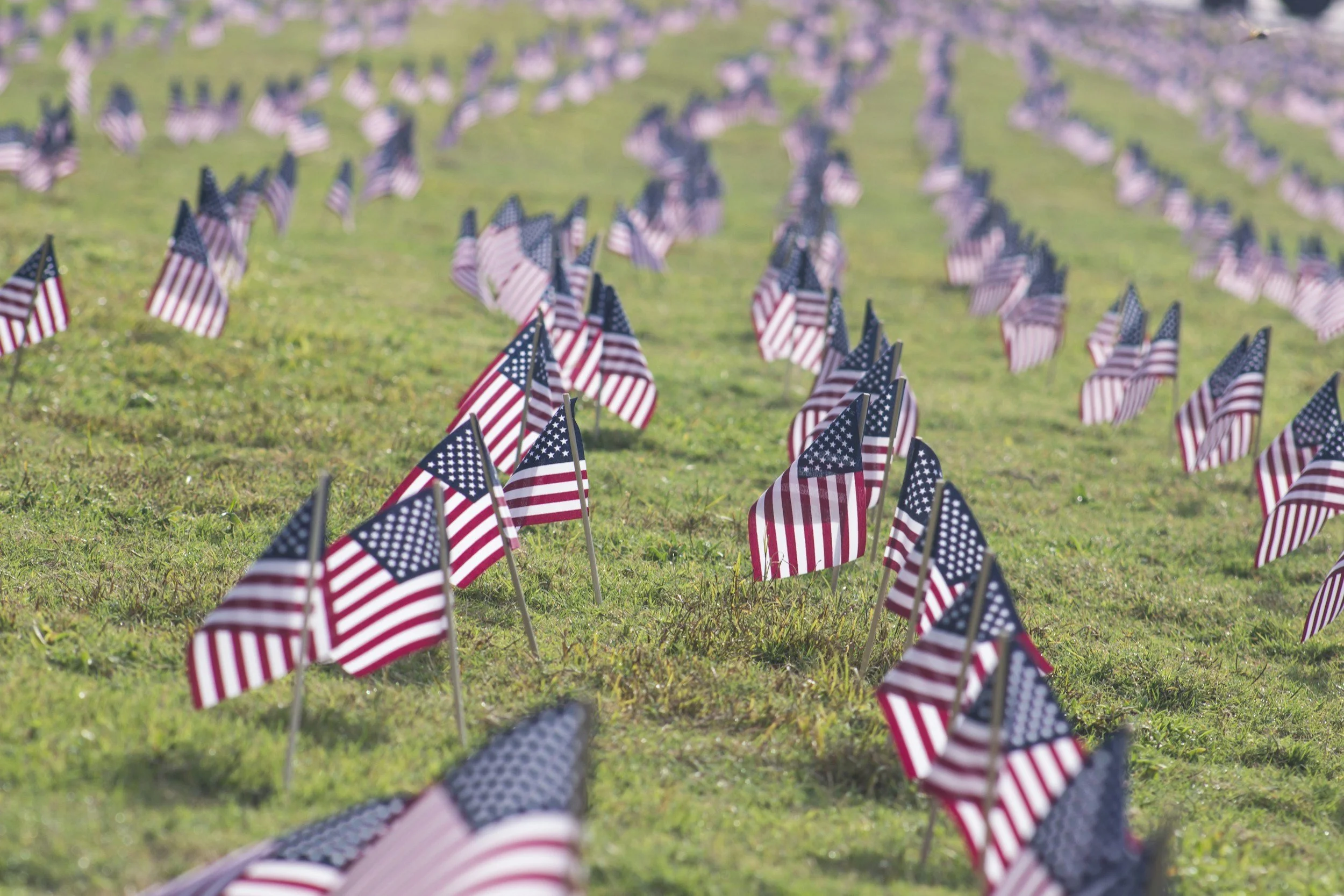 Multiple small American flags on a grassy field.
