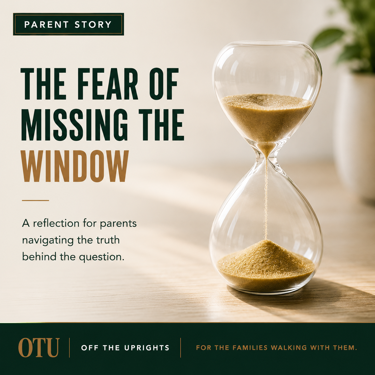 The Fear of Missing the Window