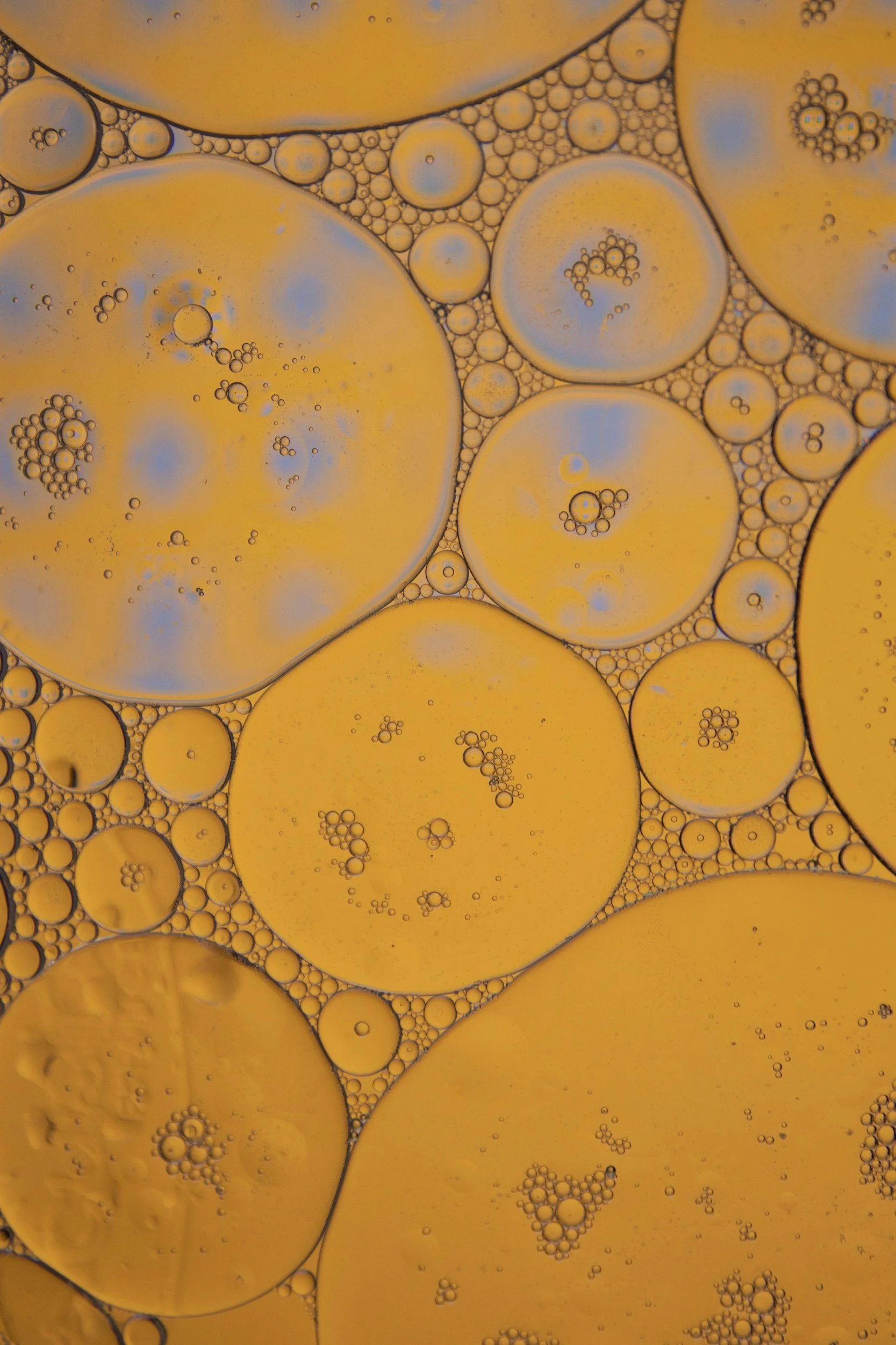 Close-up of oil bubbles on water, showing large and small circular shapes in orange, yellow, and blue hues.
