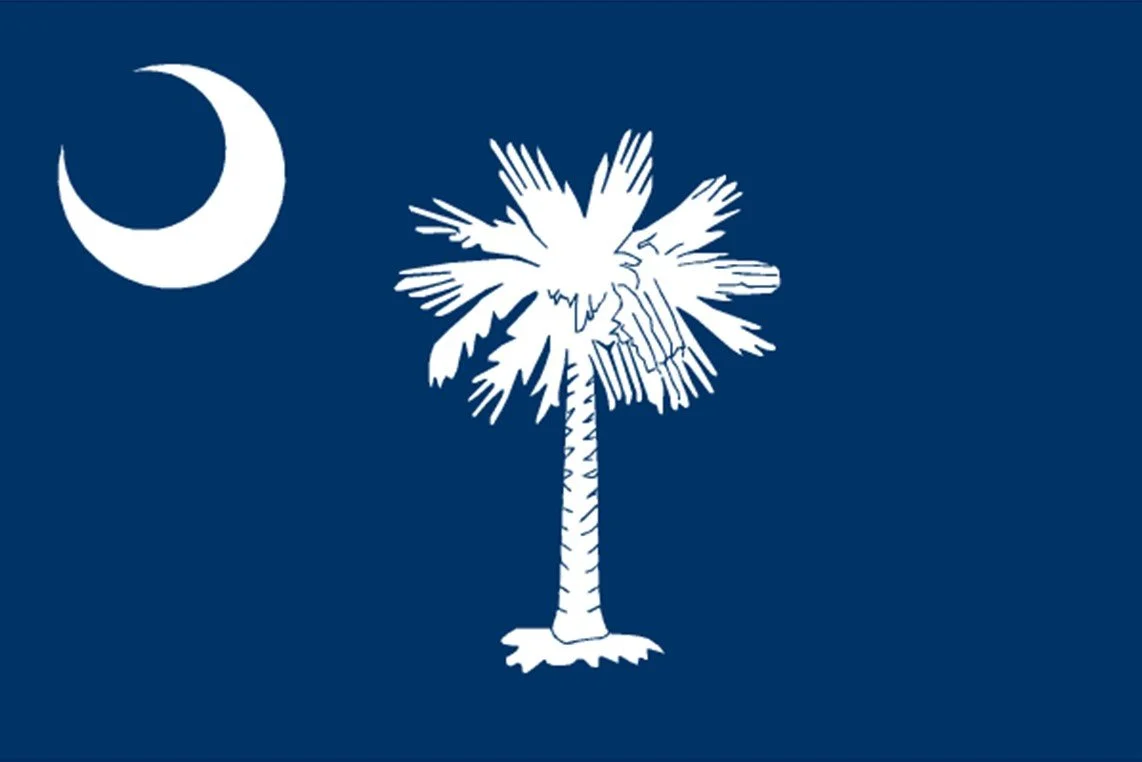 South Carolina state flag with a white palmetto tree and crescent moon on a blue background.
