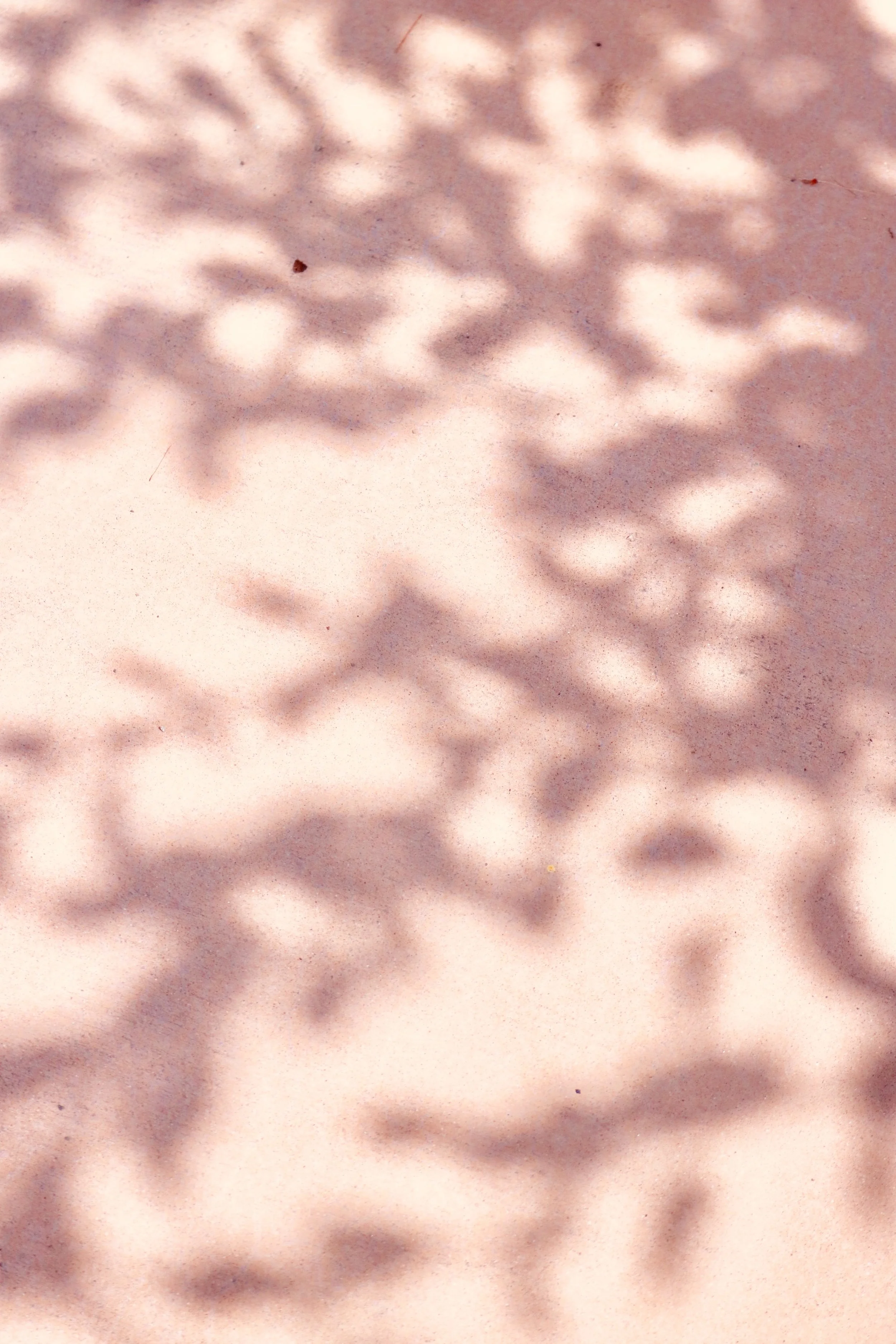 Shadows of tree leaves on a light-colored surface, possibly sand or pavement.