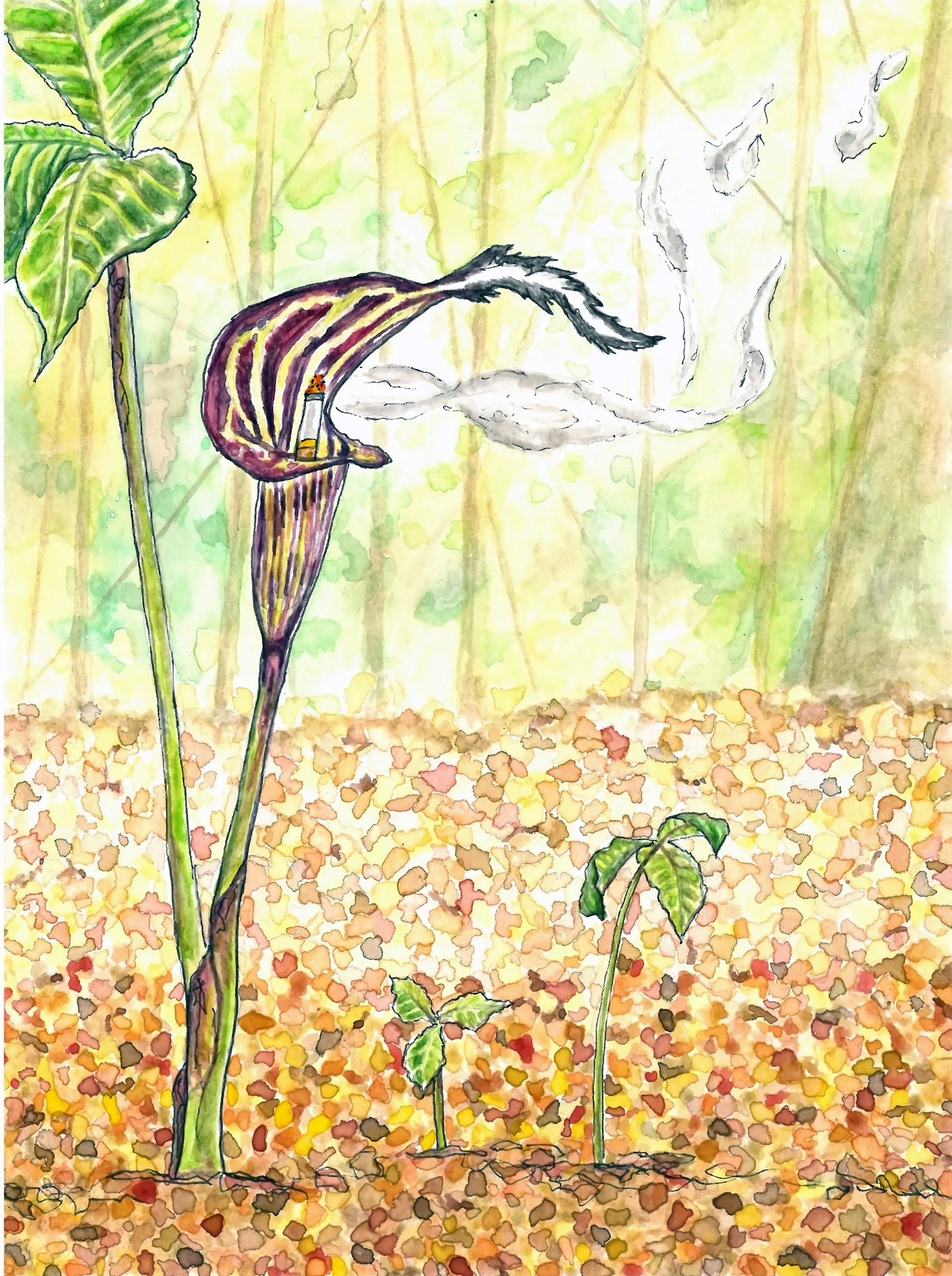 cigarette-lily.jpg