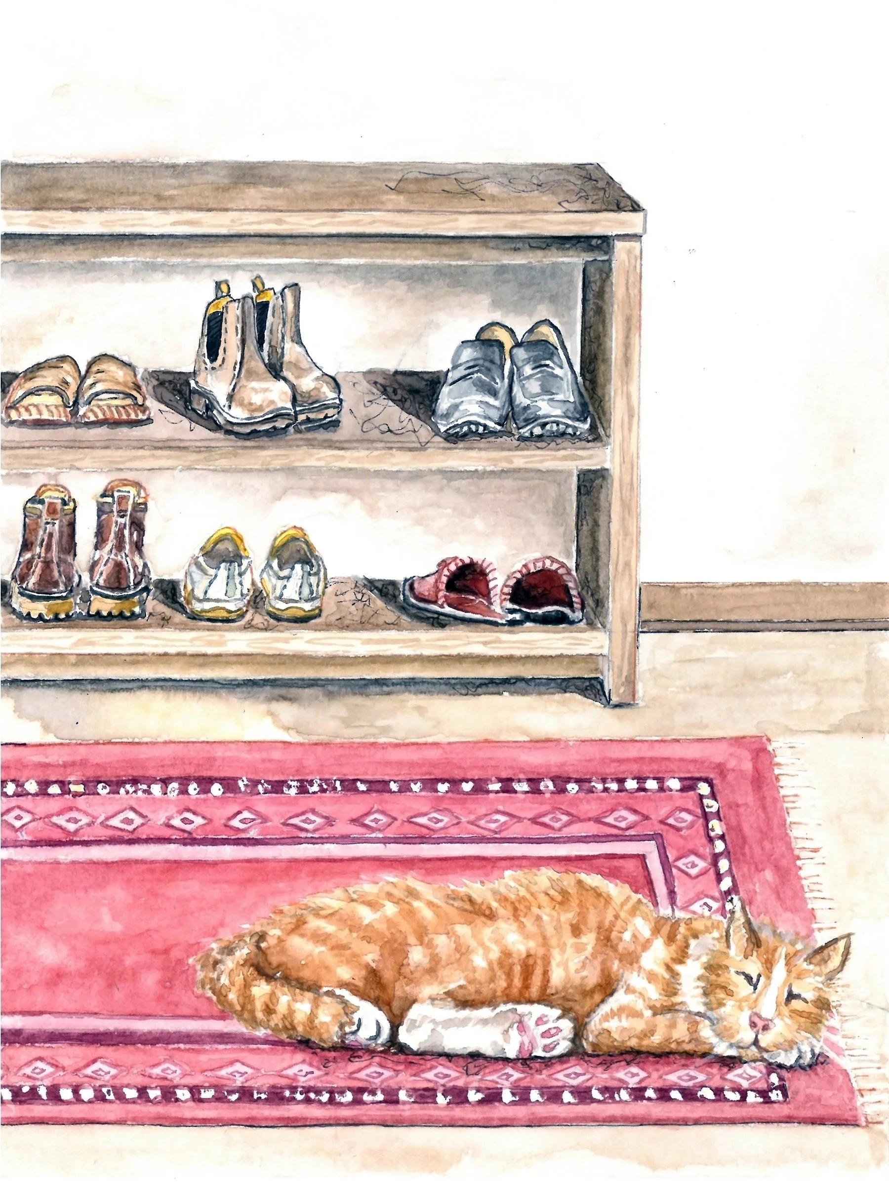 cat-carpet.jpg