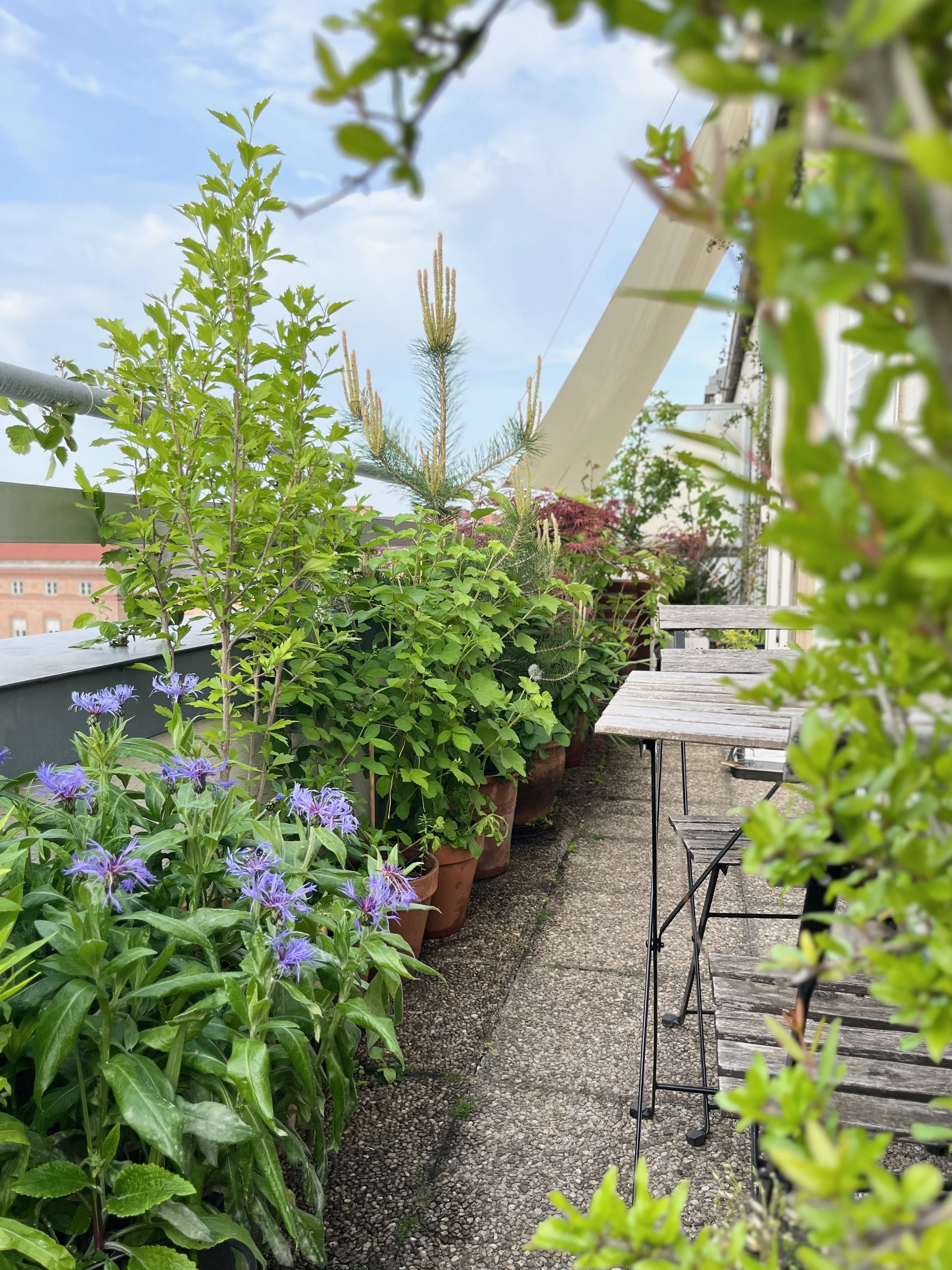 Balcony as an extension of the living space with greenery