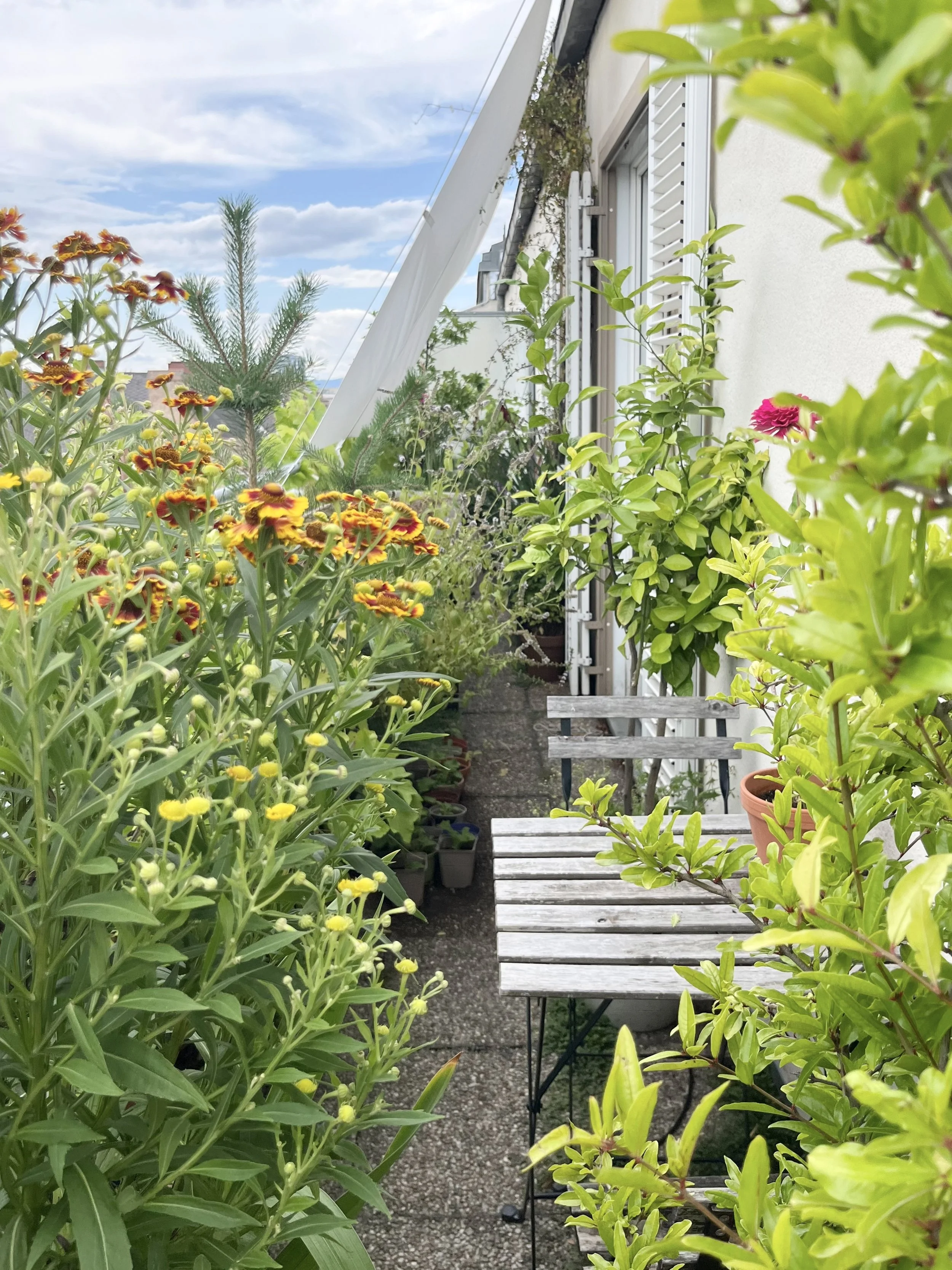 Balkon als Erweiterung des Wohnraums mit Bepflanzung