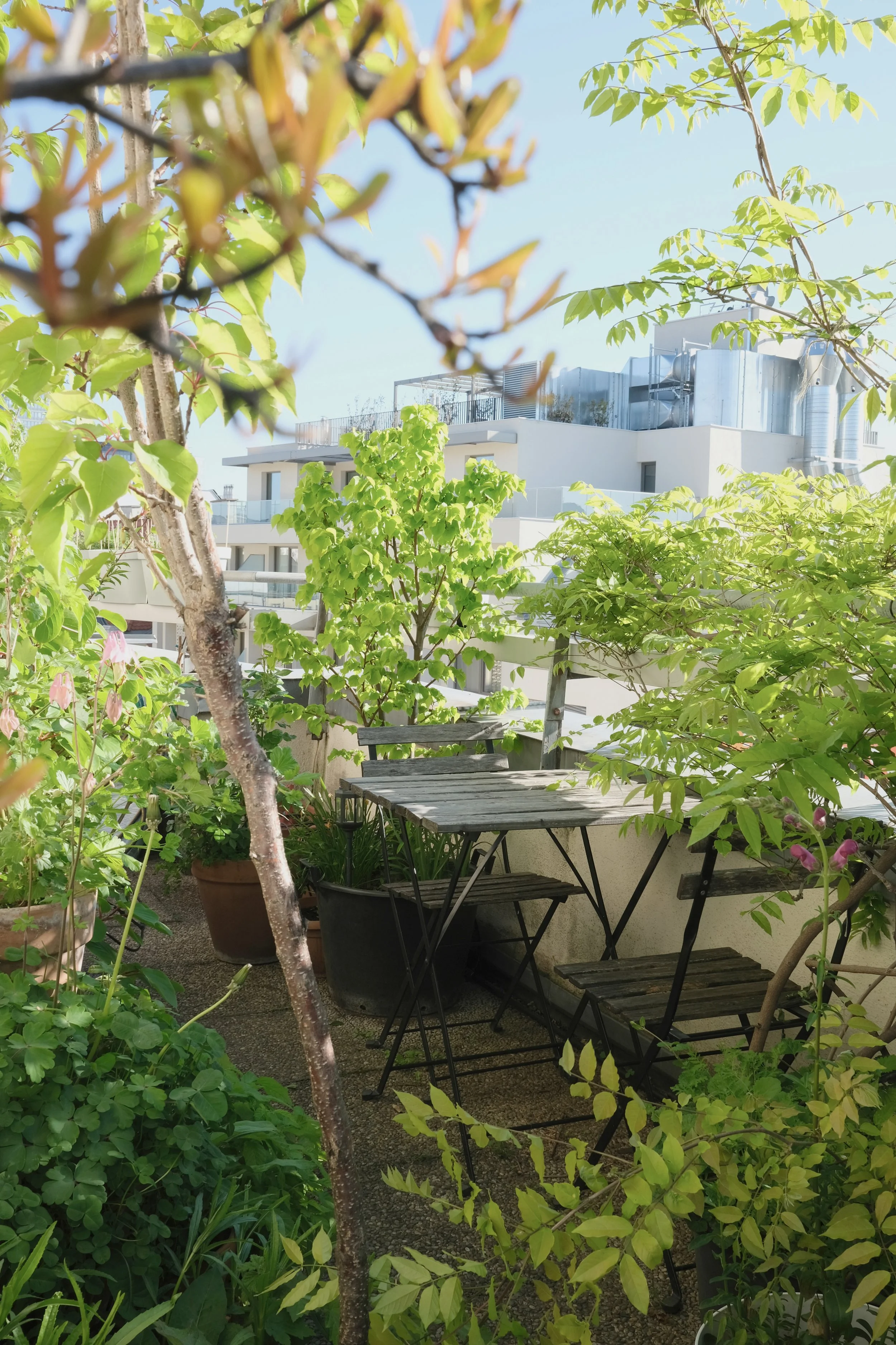Balcony as an extension of the living space with greenery