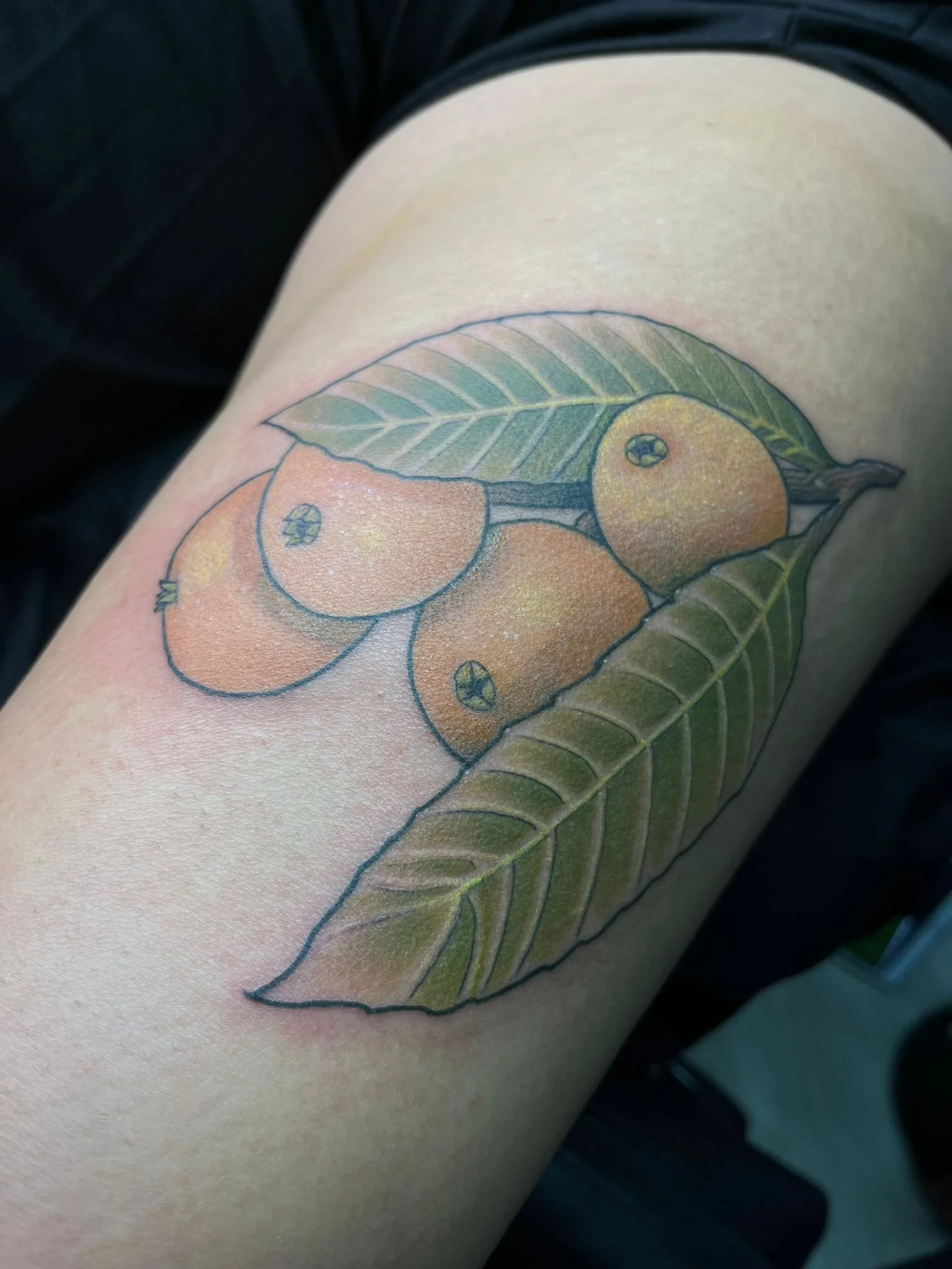 Colorful tattoo of a coffee branch with three coffee cherries and two large green leaves on a person's thigh.