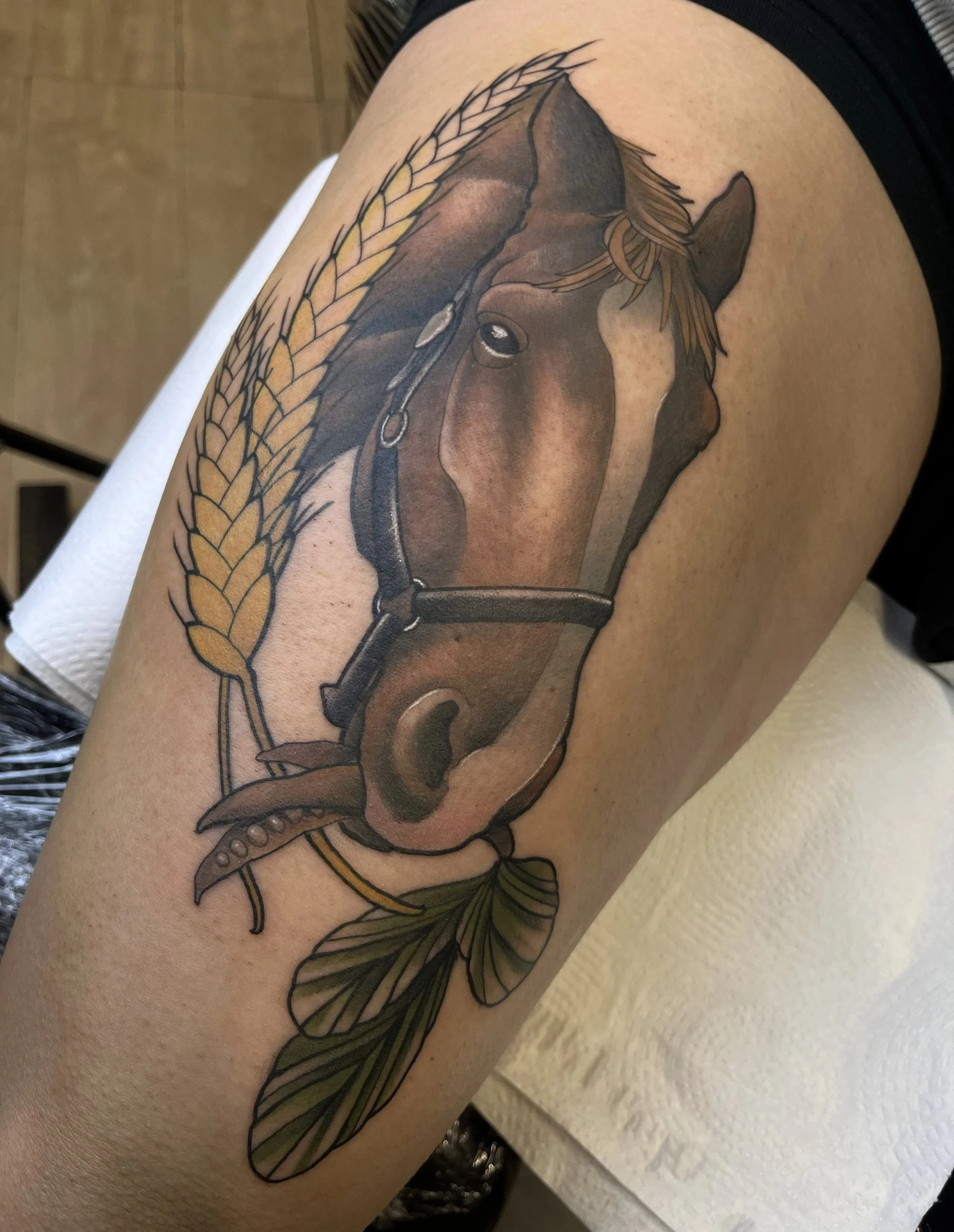 Neo Traditional Horse Portrait, thanks Mariana!