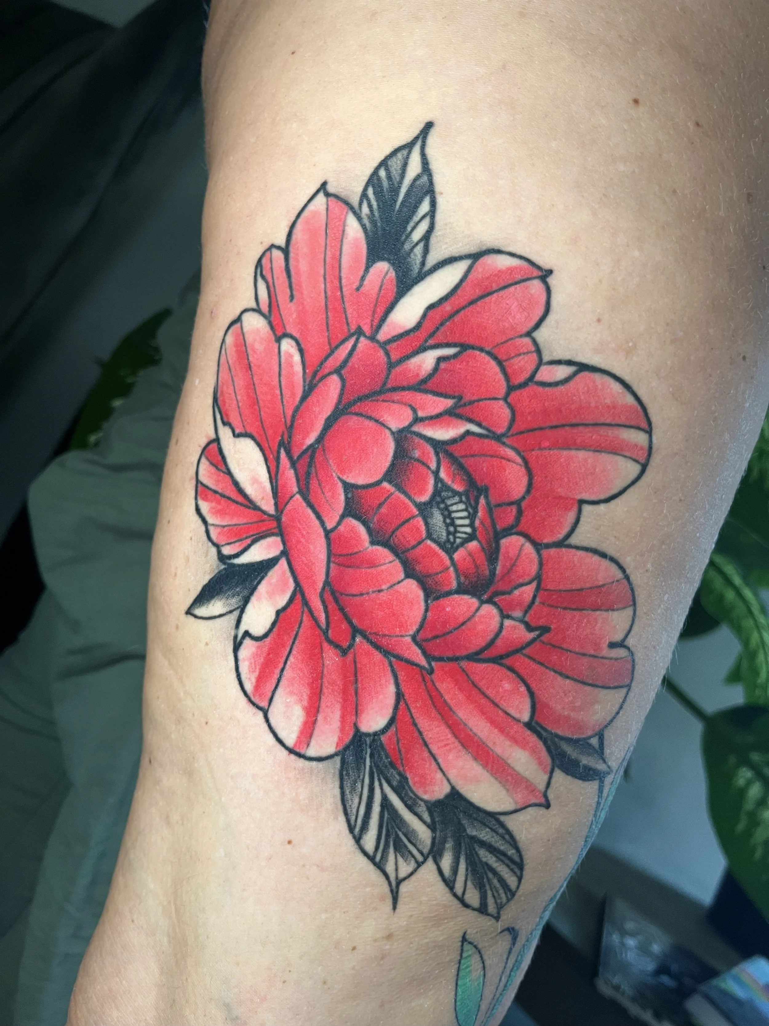 Colorful tattoo of a large flower with red petals and black outlines on a person's arm.