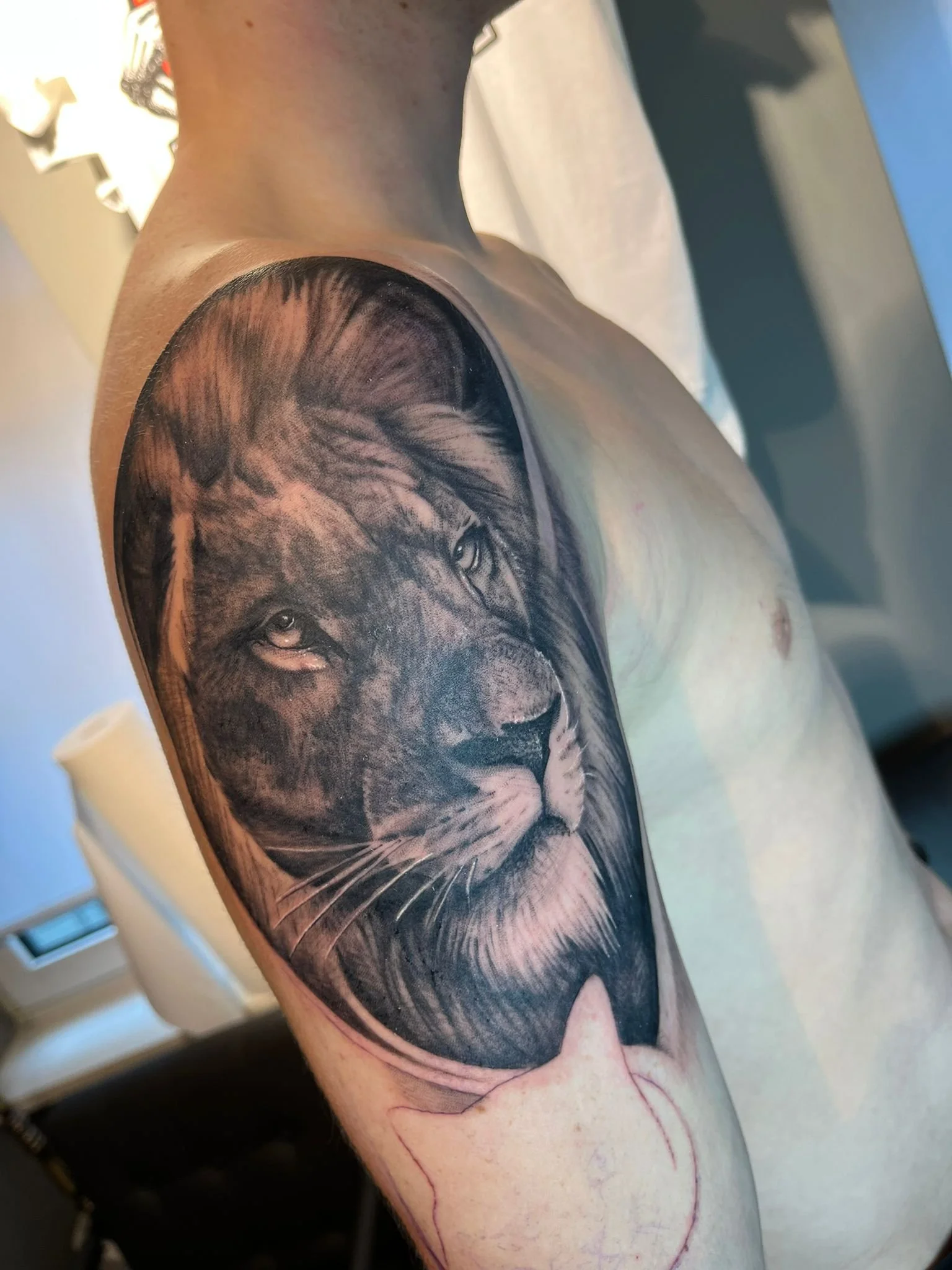 Black and gray realistic tattoo of a lion's face on a person's upper arm.