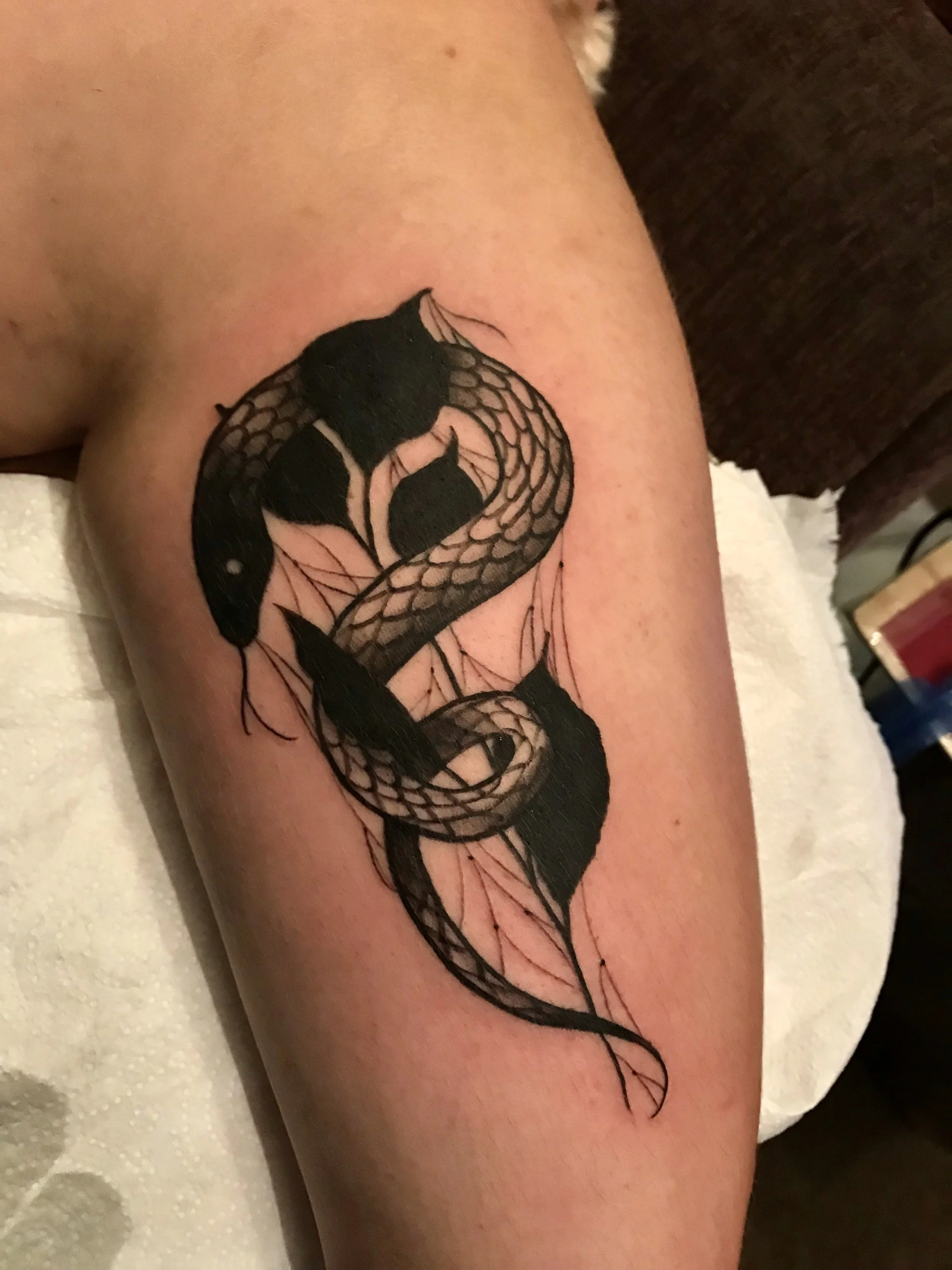 Tattoo of a black snake with detailed scales and a forked tongue on a person's upper arm.