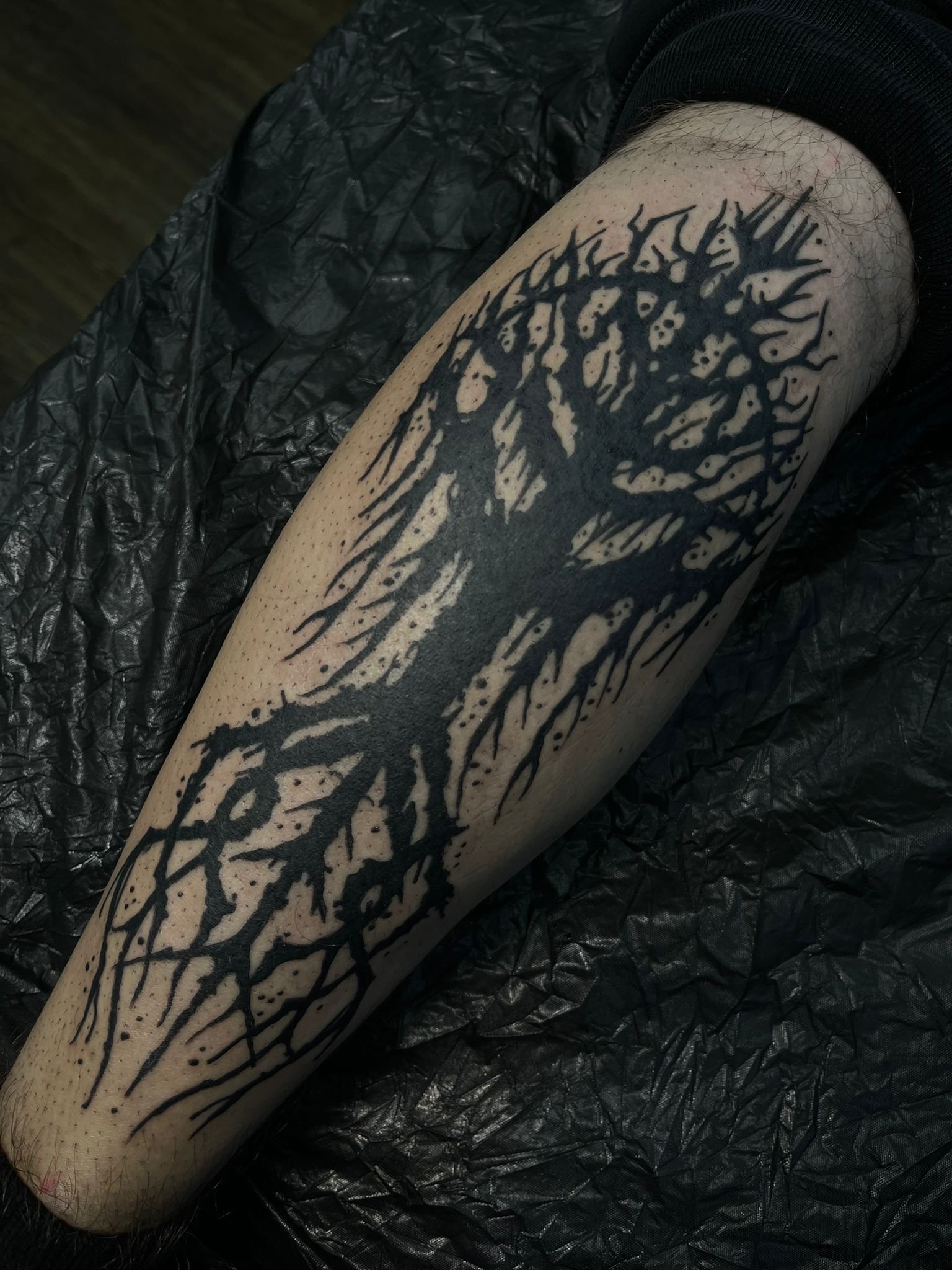 Tattoo of a black silhouette of a tree with bare branches on a person's arm, set against a black surface.