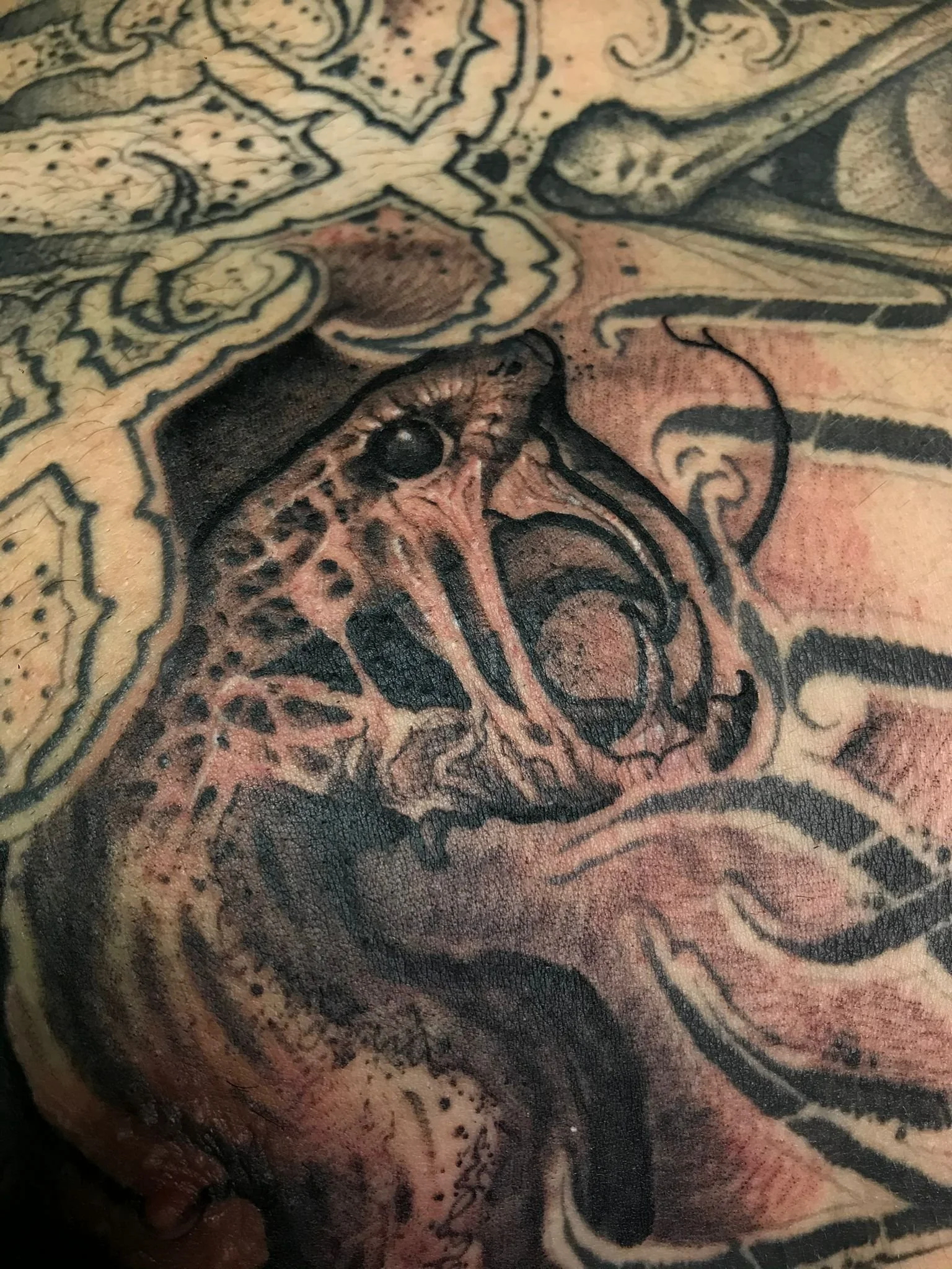 Close-up of a detailed tattoo featuring a snarling dog with bared teeth, surrounded by various abstract and geometric designs.