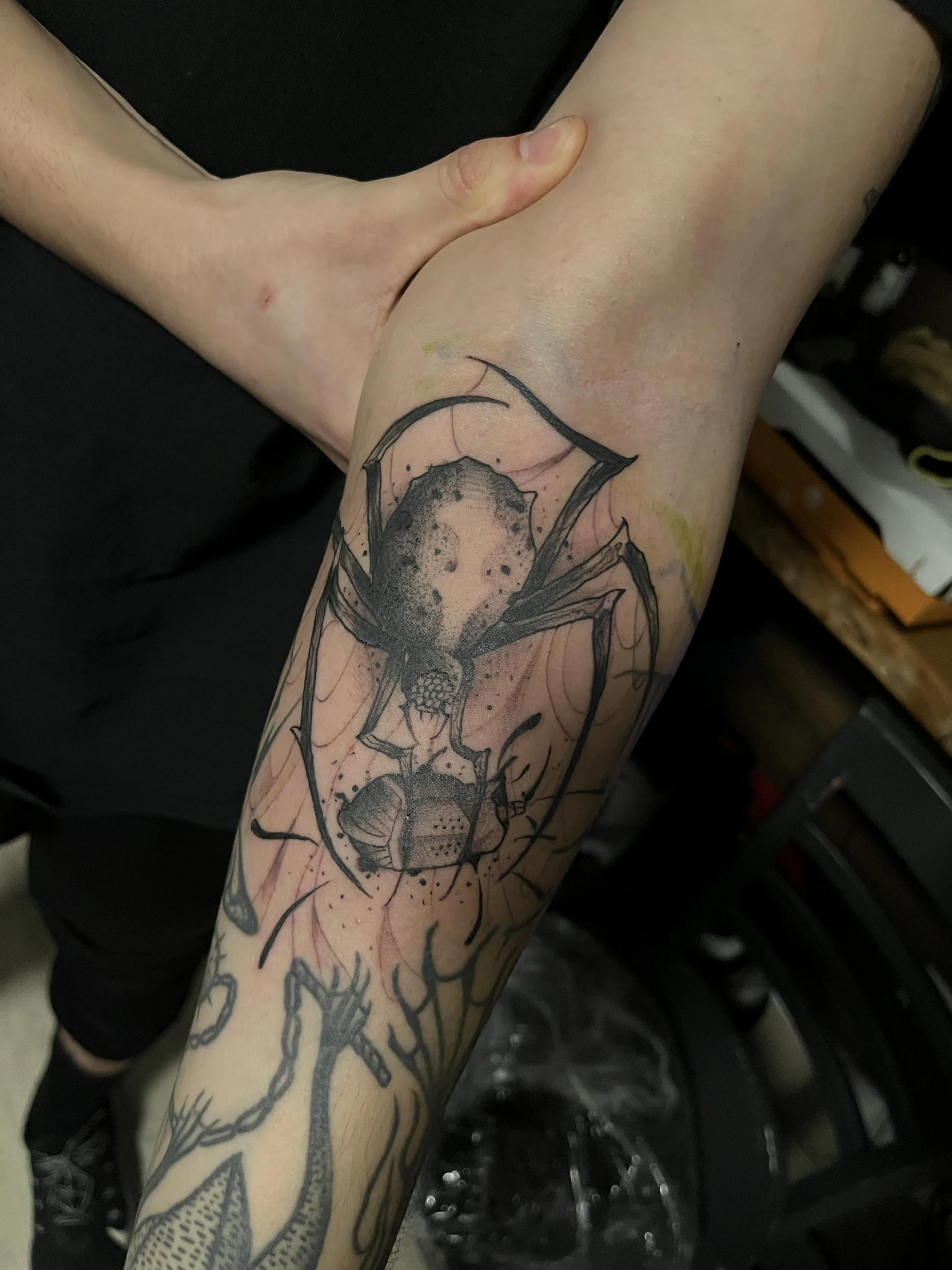 A tattoo on a person's forearm featuring a spider with detailed legs and a body, and a small skull beneath it.
