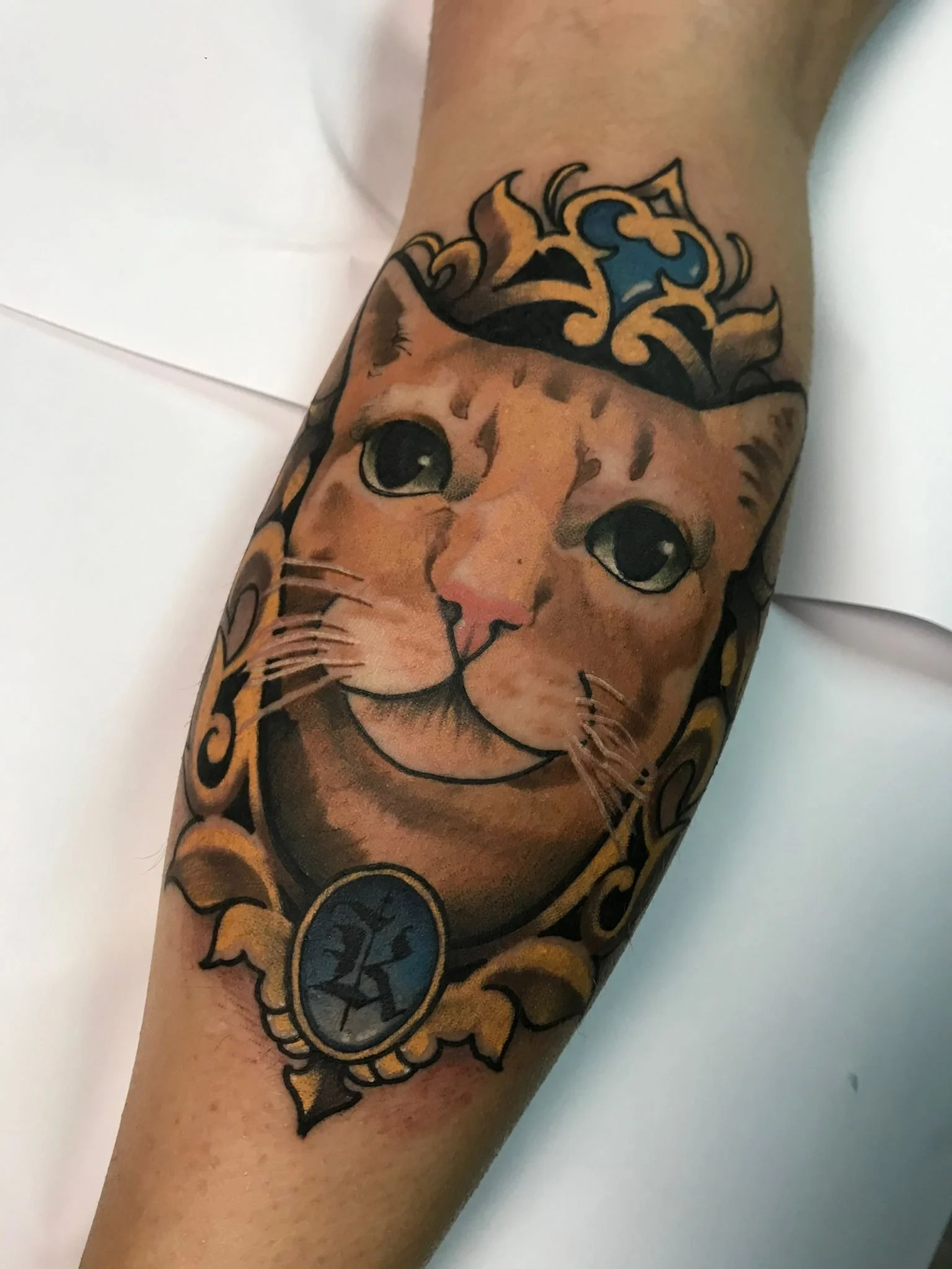 Neo-Traditional Cat Portrait Leg Color Tattoo Berlin Done By LonoTattoo