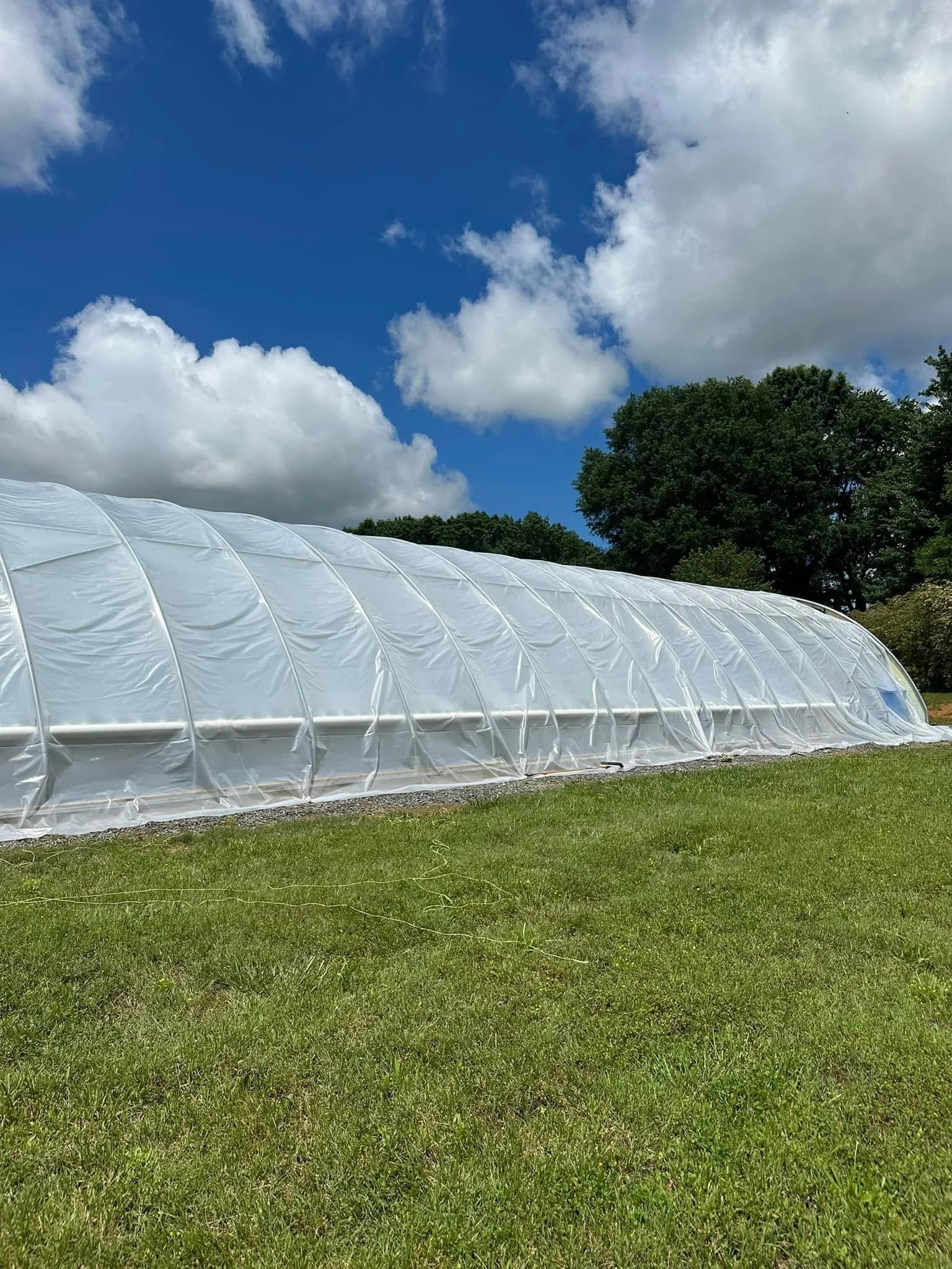A greenhouse with a white plastic cover on a grassy field under a partly cloudy blue sky.