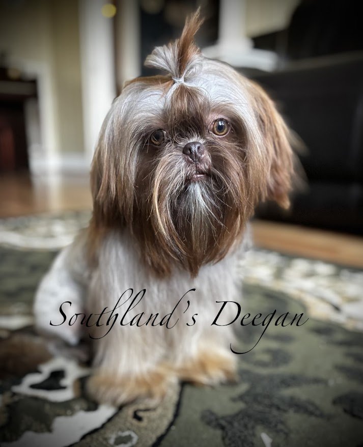 DEEGAN