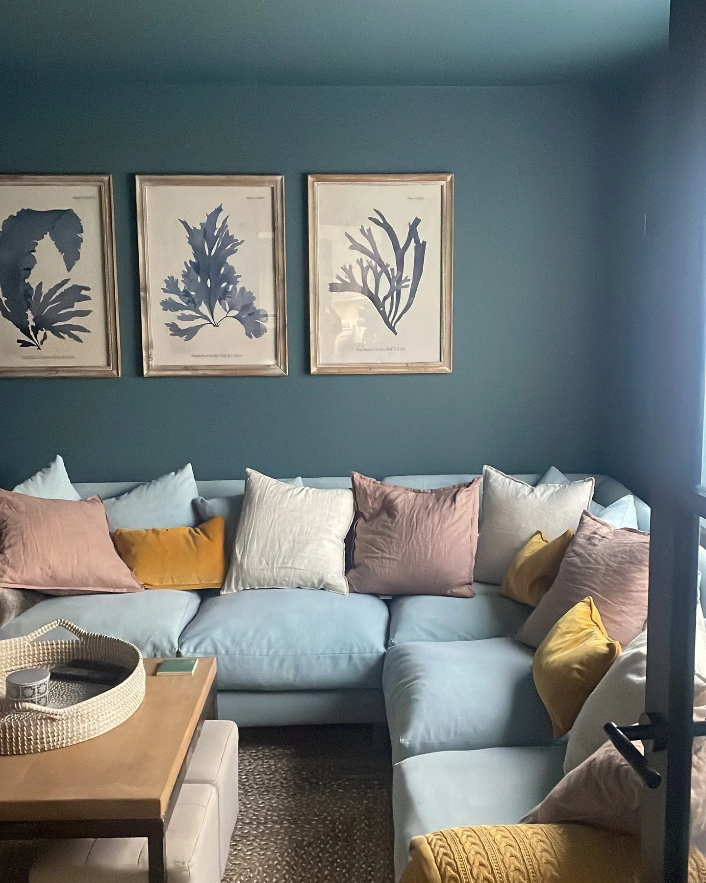 Colour Drenching TV Room