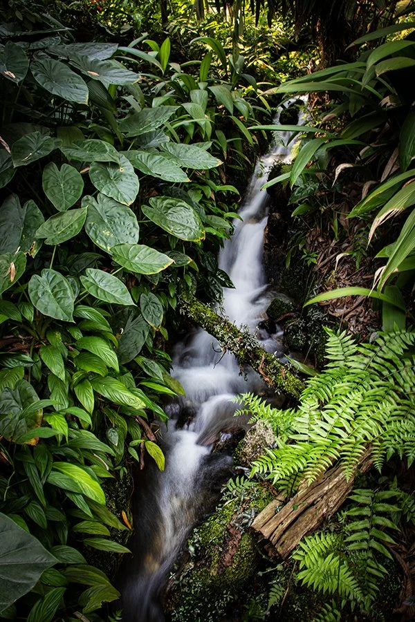 The Eden Project 