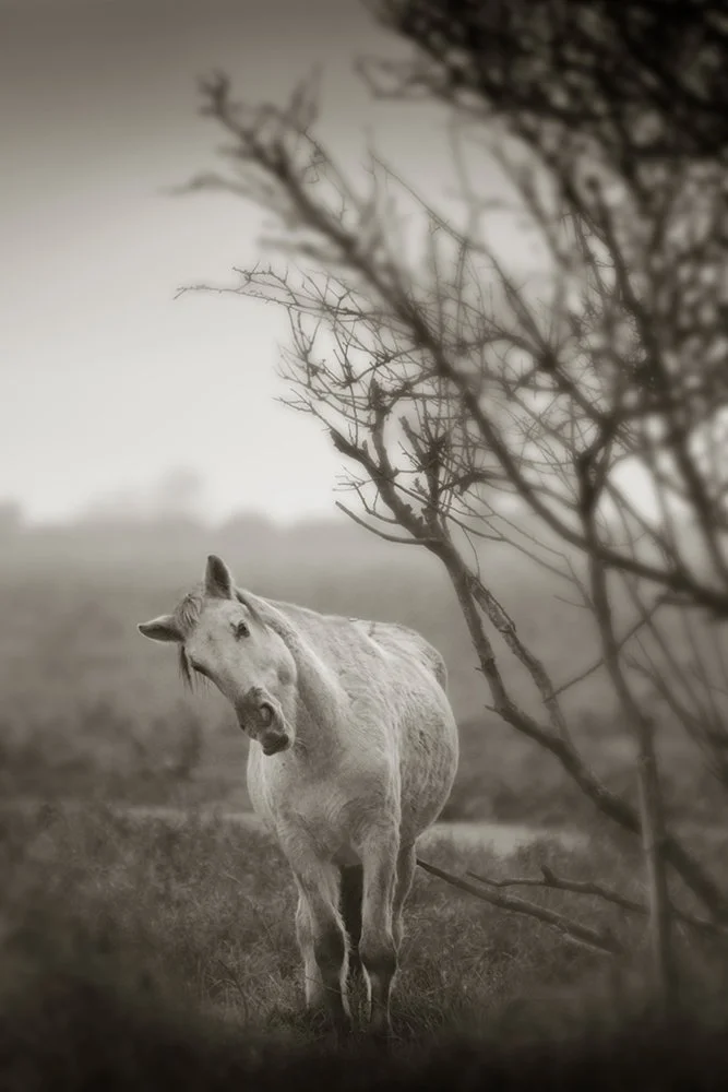 09 Leaning for a better view