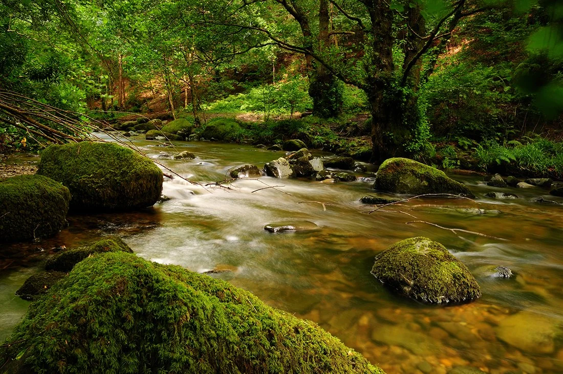 Aira Beck, Cumbria