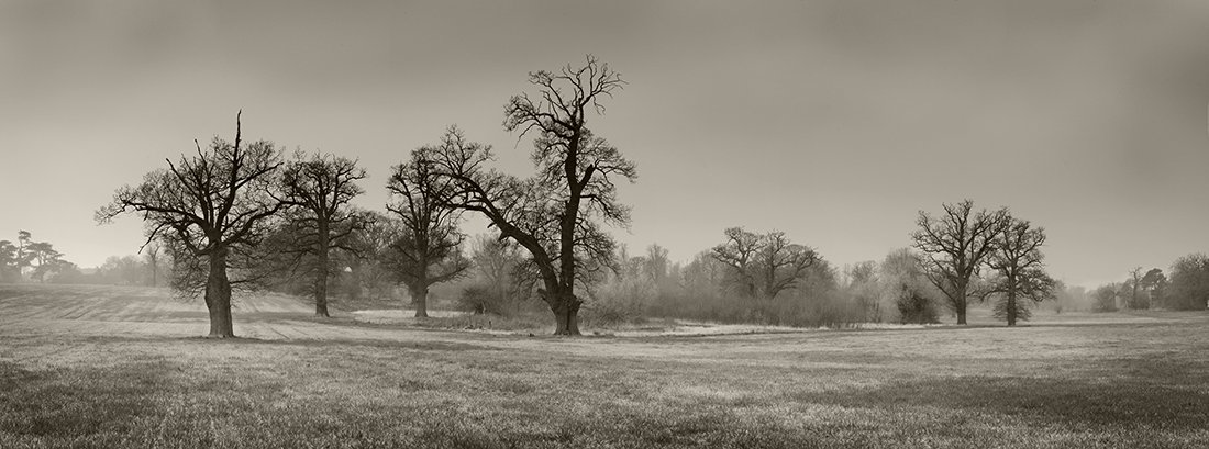 05 Winter Trees Tunstall Suffolk