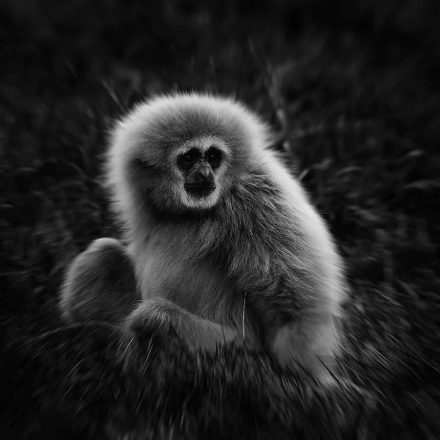 07 Resting In The Grass