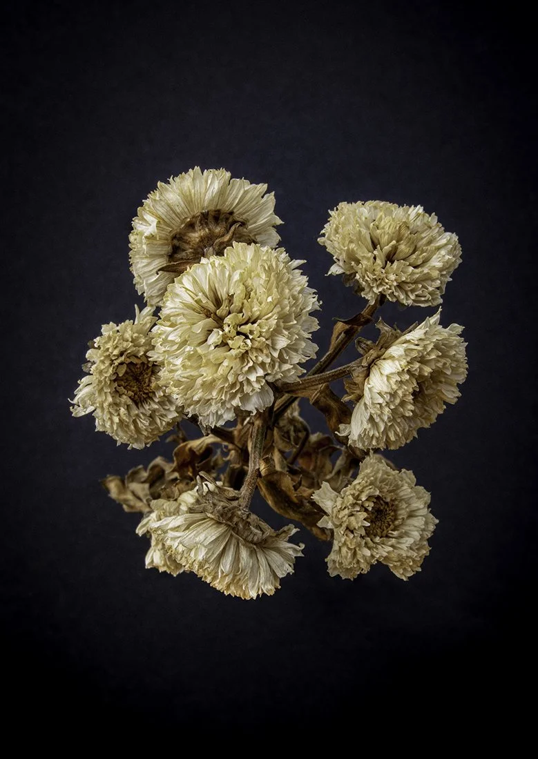 A Dried Bouquet