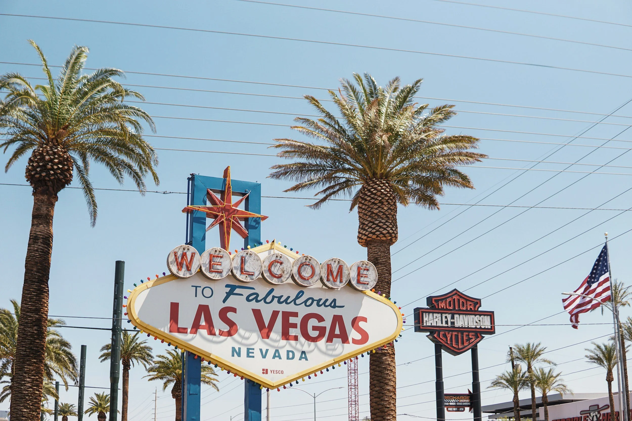 What to Do After a Dog Bite in Las Vegas