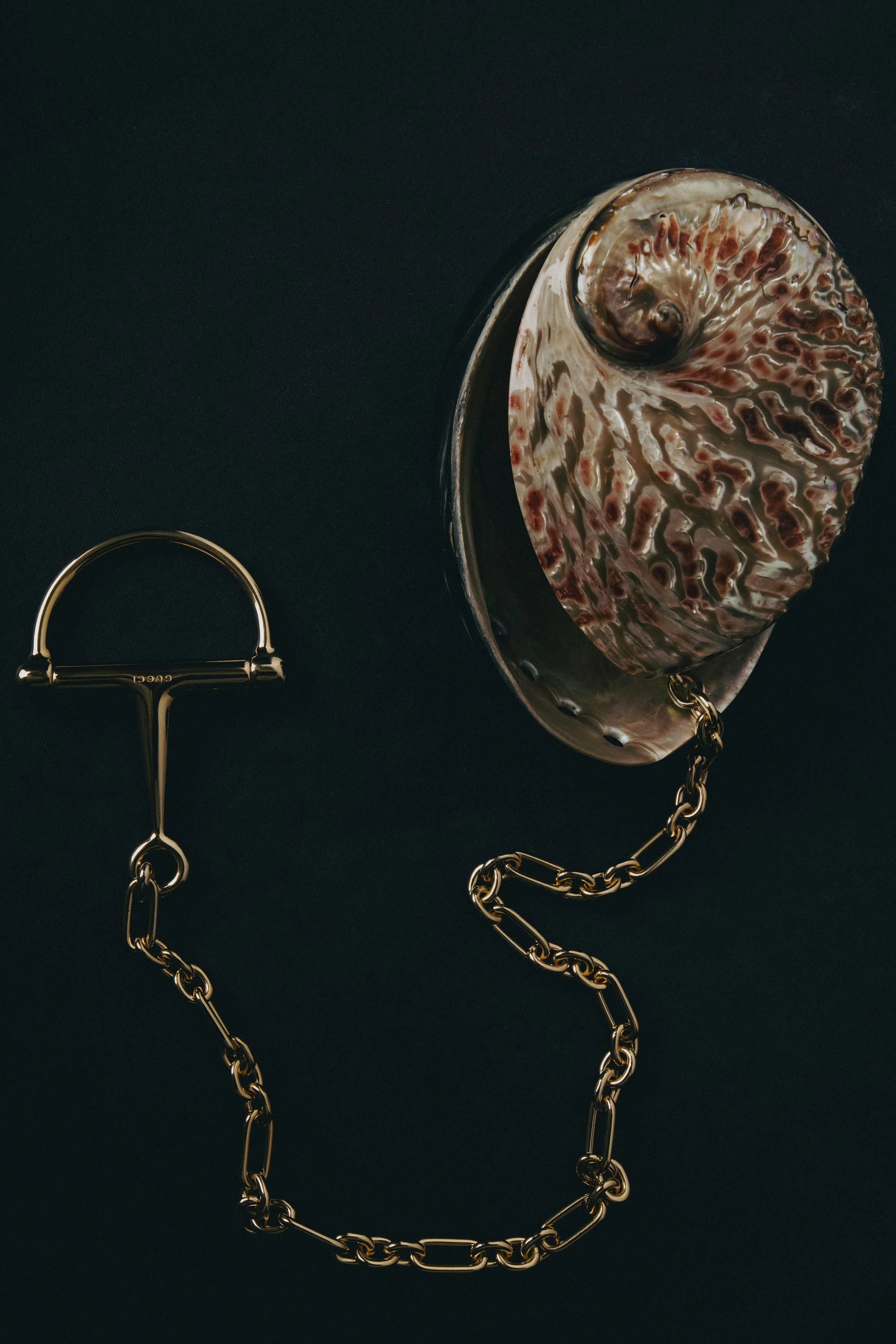 A small metallic Gucci purse with a chain strap attached, placed next to a shell-shaped object with a marbled pattern.
