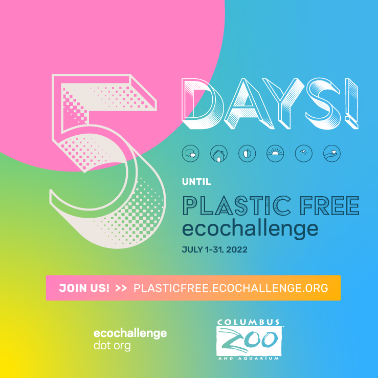 post - countdown 5.png