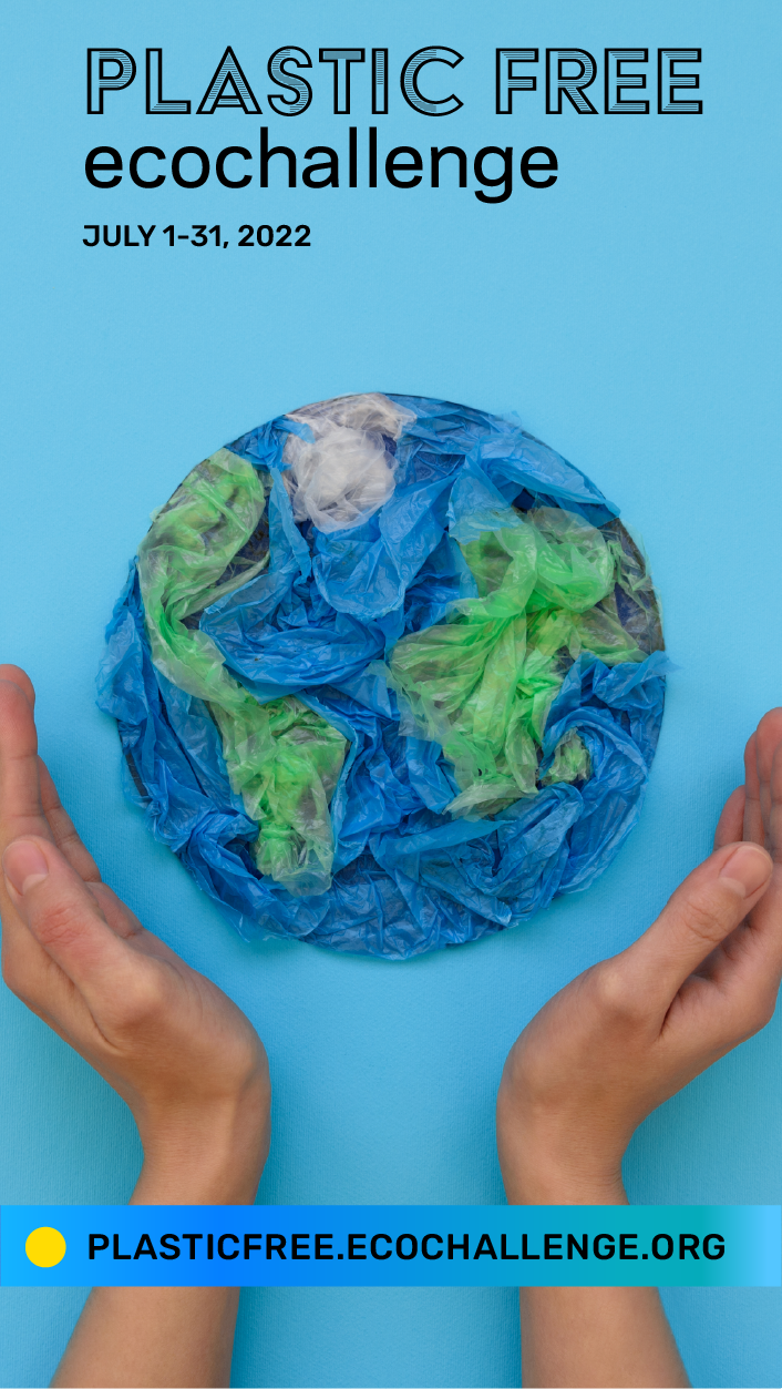 story - bag world.png