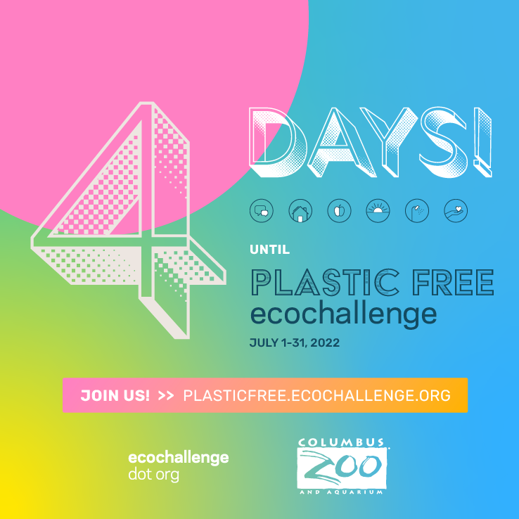 post - countdown 4.png