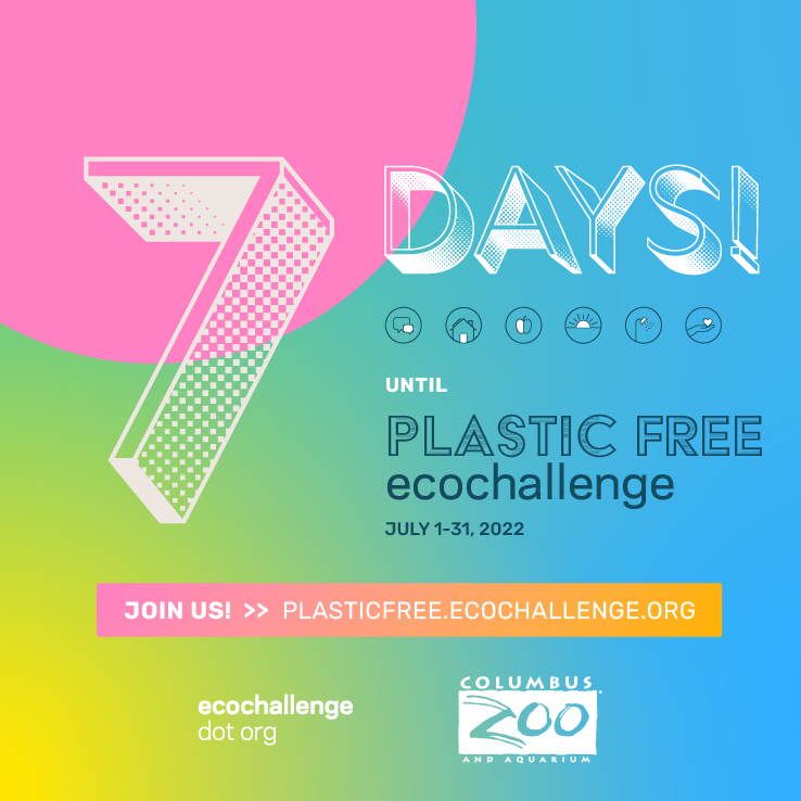 post - countdown 7.png