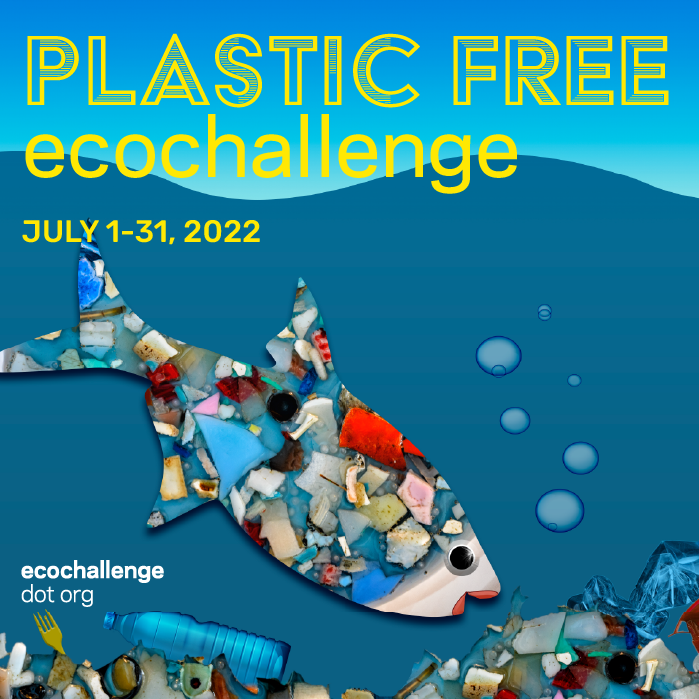 post - plastic fish.png