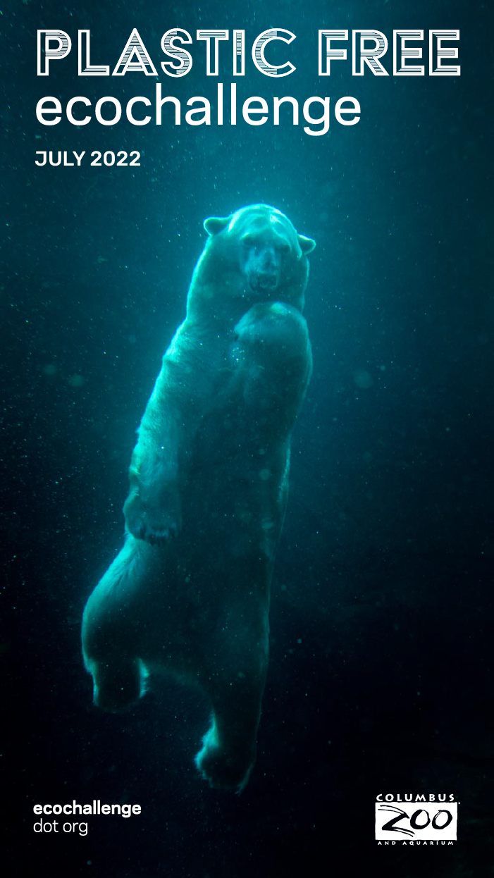 story - polar bear.png