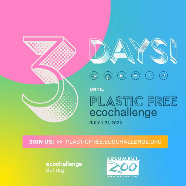 post - countdown 3.png