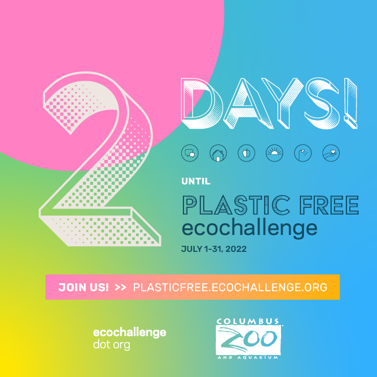 post - countdown 2.png