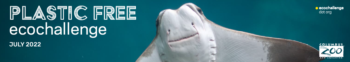 social media banner - horizontal -LinkedIn stingray.png