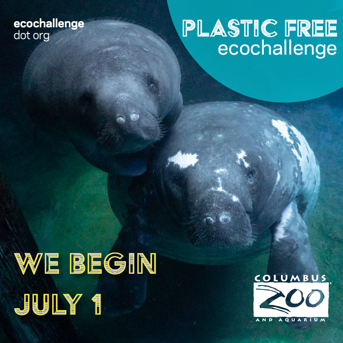 post - we start july 1.png