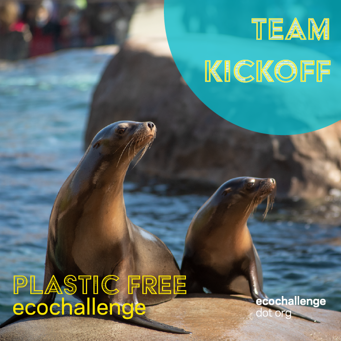 post - team kickoff.png