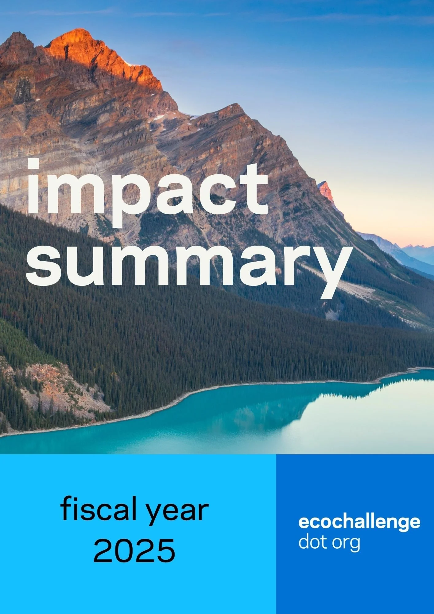 Fiscal Year Impact Summary